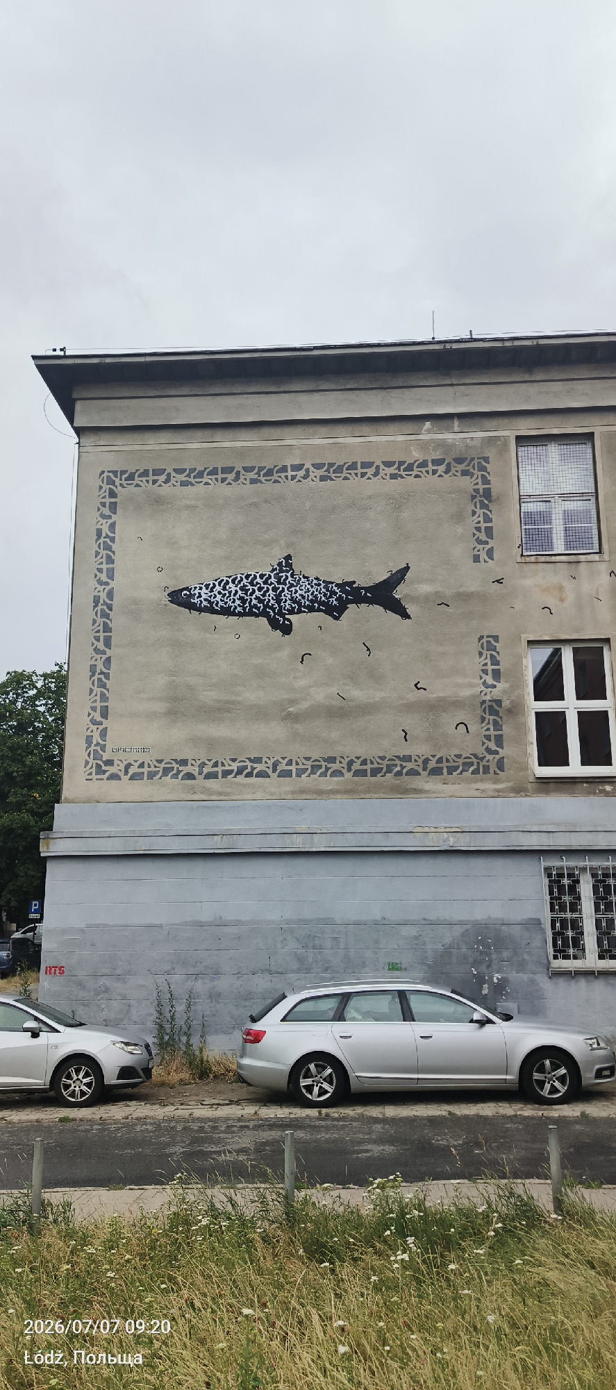 The image depicts a side view of a multi-story building with a mural of a fish on its facade. The fish mural, framed by a decorative border, is rendered in black and white, with the fish's scales appearing as a pattern of white shapes on a black silhouette. Scattered around the fish are small, dark, curved lines, possibly representing bubbles or debris. Above the mural, a cloudy sky is visible. To the right of the mural, a large window with a grid pattern is present. Below the mural, the building's lower section is painted a solid gray. In front of the building, two silver station wagons are parked on a paved surface. The foreground is filled with tall, dry grass and some white wildflowers. At the bottom left of the image, text reads "2026/07/07 09:20 Łódź, Polska".