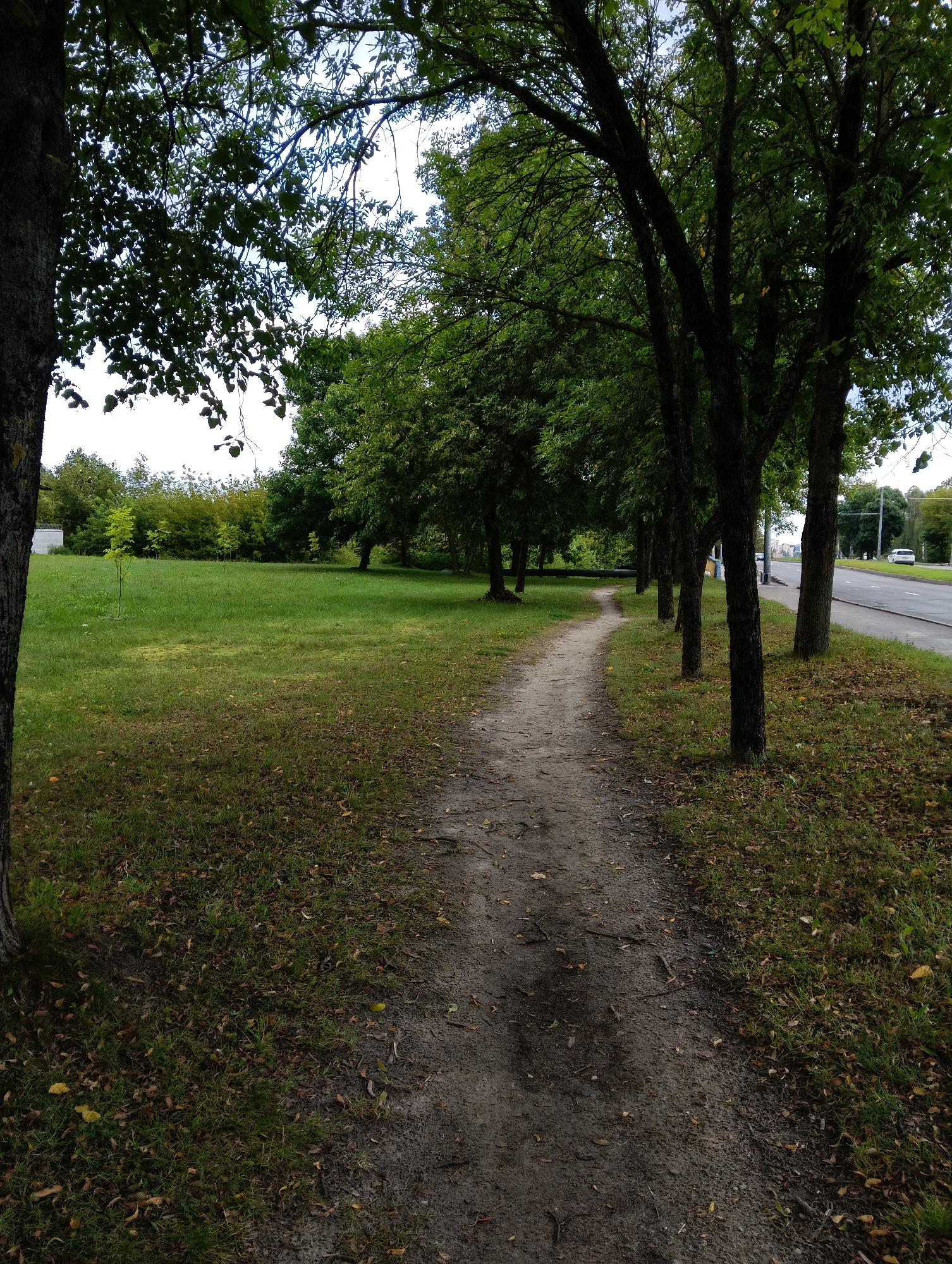 The image shows a dirt path winding through a grassy area lined with trees. The path is in the foreground, leading into the distance. To the left of the path is a large expanse of green grass with scattered fallen leaves. To the right of the path is a row of trees with dark trunks and green foliage. Beyond the trees, a paved road is visible with a white car and a gray car driving on it. The sky is overcast. The setting appears to be a park or a green space within a city. It is difficult to pinpoint the exact location in Hrodna, Belarus without additional contextual information, but the presence of a road and urban trees suggests it could be a park adjacent to a street.