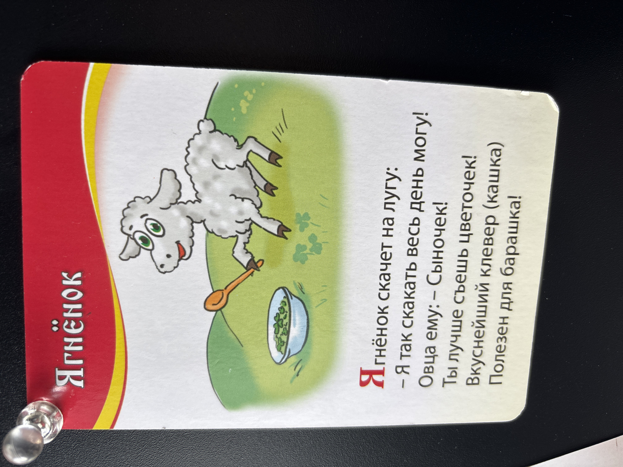 A laminated card featuring a cartoon drawing of a lamb is attached to a dark surface, likely a wall or bulletin board, by a silver pushpin in the upper left corner. The card has a red border at the top with the Russian word "Ягнёнок" (Lamb) written in white stylized font. Below this, a yellow wavy line separates the red border from the white card's main illustration. The illustration depicts a fluffy white lamb with green eyes, holding an orange spoon and standing on a green hill next to a bowl of green food. The text below the illustration is in Russian and appears to be a poem or story about the lamb. The background of the image is a dark, textured surface.