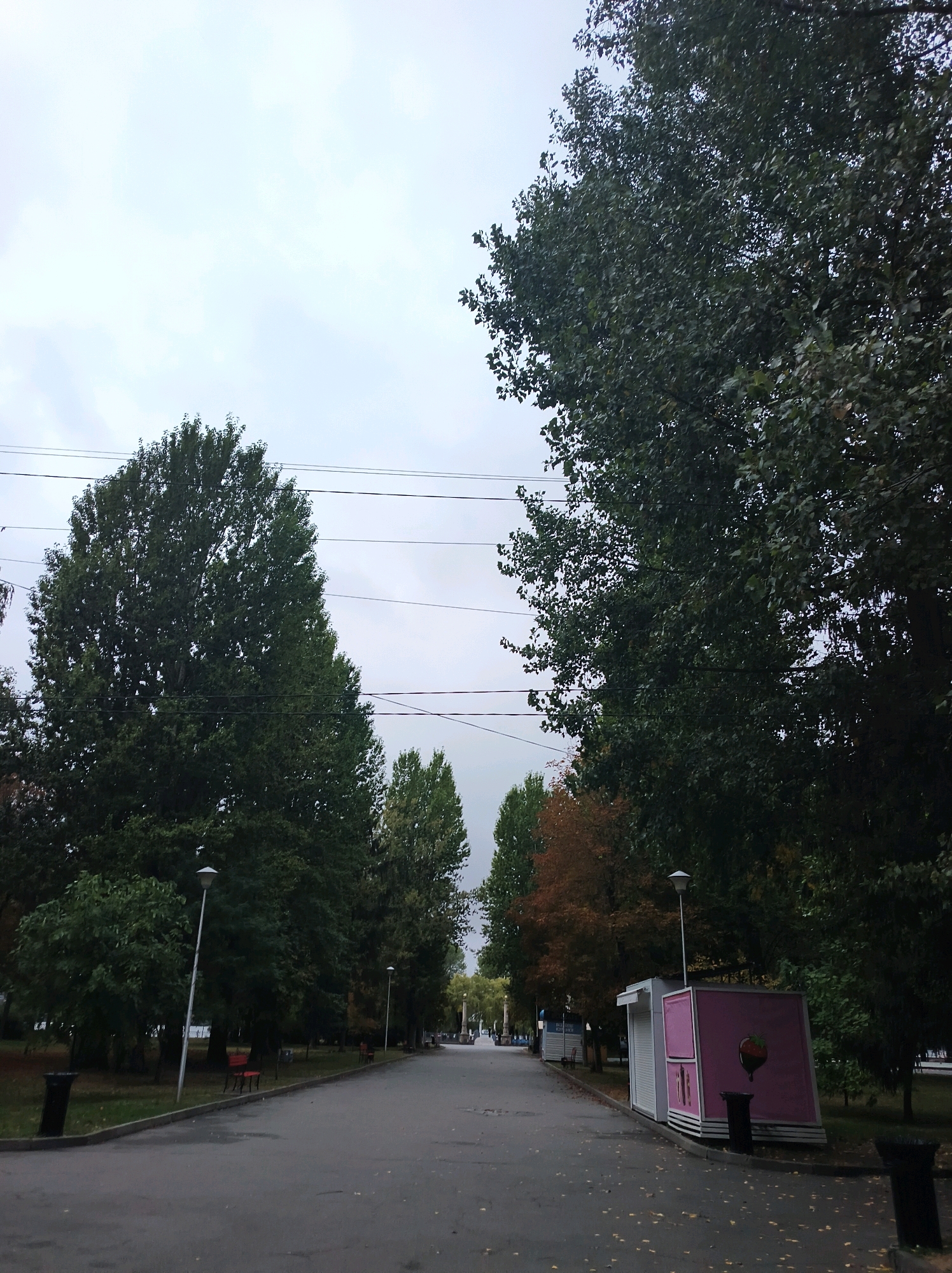 The image shows a paved walkway in Ternopil, Ukraine, bordered by tall trees with dark green foliage on either side. The sky is overcast and pale. There are several streetlights along the walkway, and on the right side, there is a small pink kiosk with a graphic of a strawberry. The walkway appears to be in a park or a tree-lined boulevard. Some fallen leaves are scattered on the pavement. There are no people visible in the image.