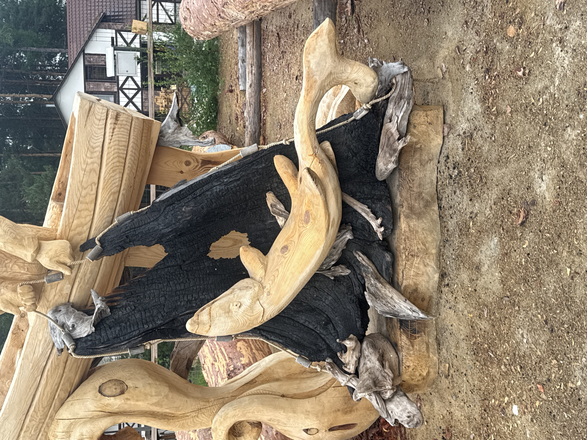 The image shows an outdoor wooden sculpture that appears to be a whale or a similar sea creature, carved from a light-colored wood. The whale sculpture is positioned horizontally, with its head and tail elevated. It is set against a dark, charred log, creating a strong contrast. The base of the sculpture is made of rough-hewn wooden blocks and smaller pieces of driftwood, adding a natural, rustic feel. Above the whale, there are elements of another wooden sculpture depicting human hands holding ropes, which are attached to the charred log. In the background, a building with a dark roof and white siding, featuring decorative dark trim, is visible, surrounded by greenery and trees. The ground is covered with dirt, small stones, and wood chips. The scene is set in a natural environment, possibly a park or an artist's workshop, located in or near Savvateevka, Russia.