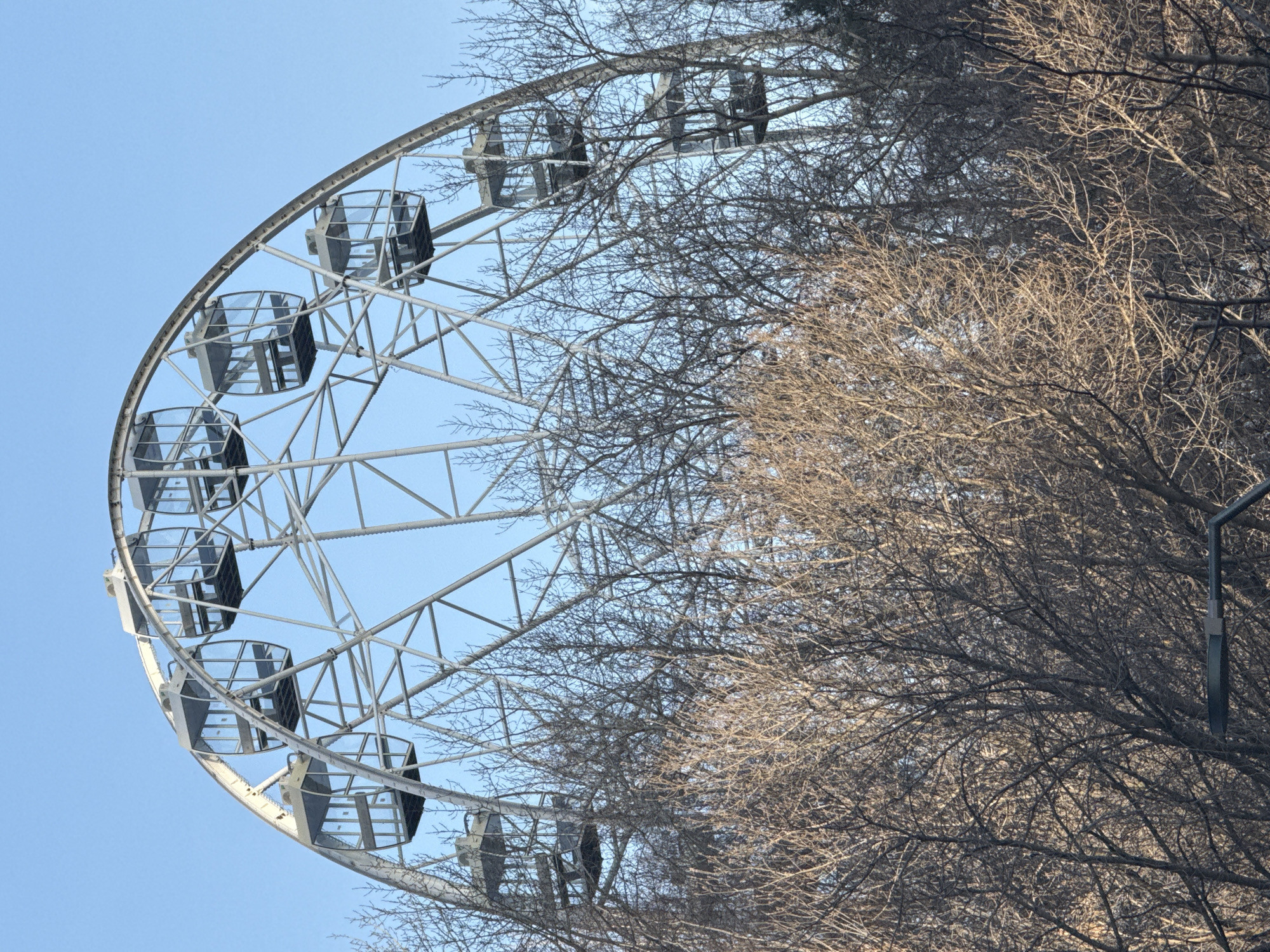The image shows a partial view of a Ferris wheel, likely located in the city of Yekaterinburg, Russia. It is partially obscured by leafless tree branches. The sky is a clear light blue. The Ferris wheel has a metallic frame with passenger cabins. A lamppost is visible on the right side of the image, partially hidden by the tree branches.
