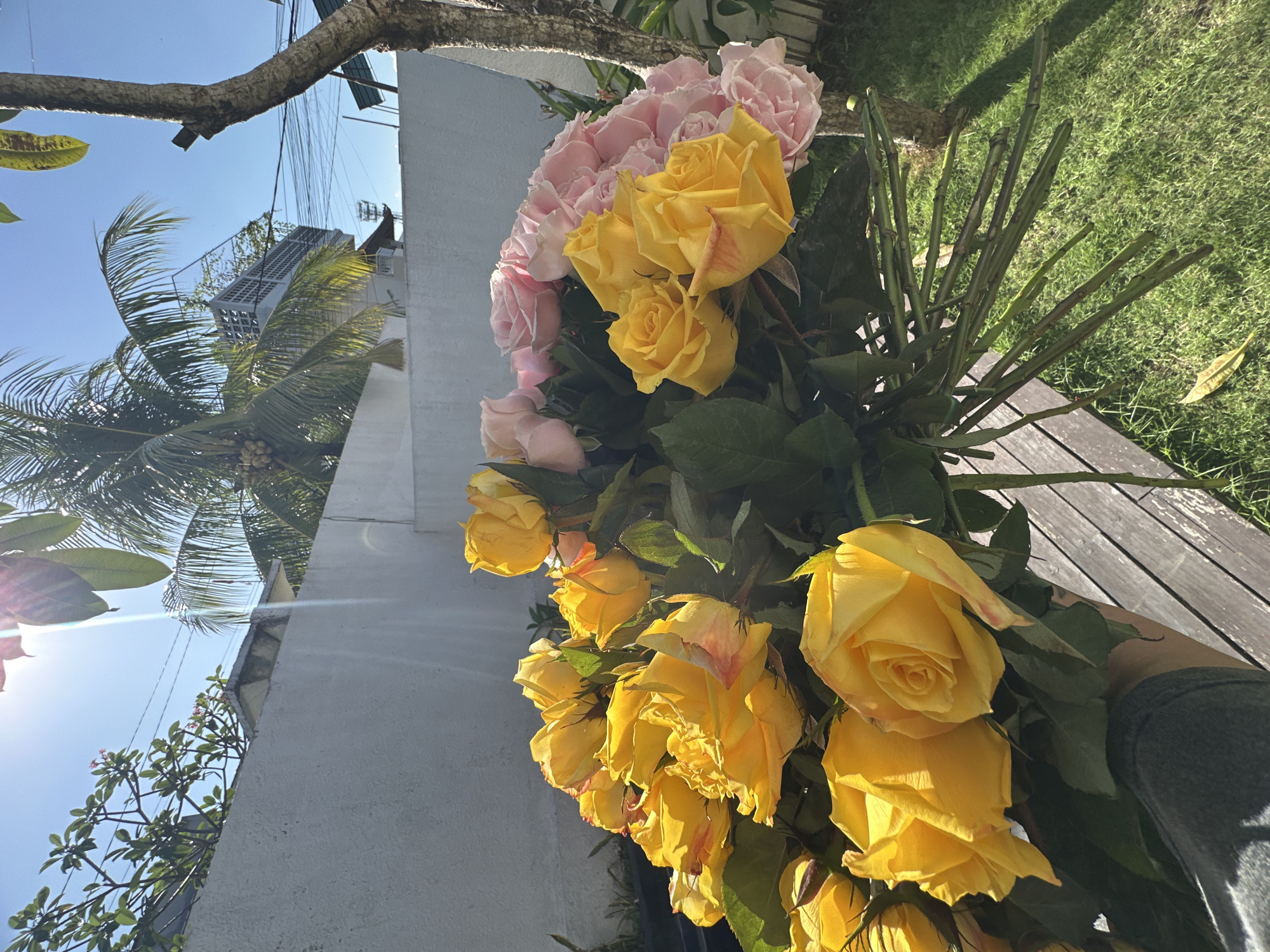 The image captures a close-up of a bouquet of fresh roses, predominantly yellow with some interspersed pink blooms. The roses are arranged with their stems prominent, suggesting they may have just been cut or are being prepared. The scene is outdoors, bathed in bright sunlight, indicating it is daytime.
In the background, there are elements that provide context for the location. A portion of a grey, textured wall is visible on the left, and beyond that, a clear blue sky is prominent. Palm fronds suggest a tropical or subtropical environment. Power lines are also visible against the sky, and a tree branch hangs into the frame from the top left. The sunlight creates strong highlights and shadows, emphasizing the texture of the rose petals and the wooden surface the bouquet is resting on, which appears to be a deck or bench.
The overall mood is serene and natural, highlighted by the beauty of the flowers and the warm sunlight. There is no visible text in the image. The context provided places the scene in North Kuta, Indonesia, which aligns with the visual cues of palm trees and bright, sunny weather.