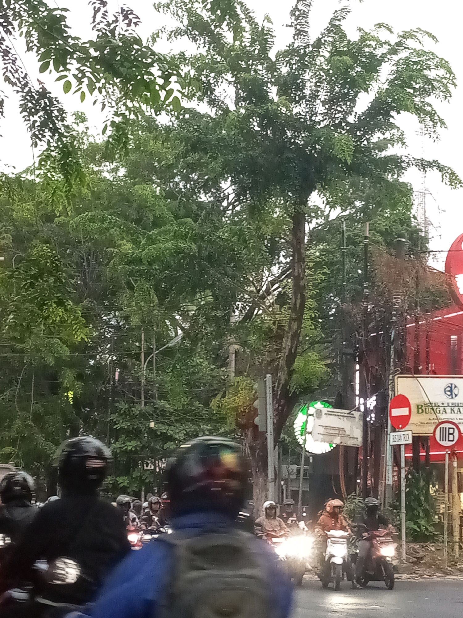 The image depicts a street scene, likely in Bekasi, Indonesia, with a focus on motorcycles and lush vegetation. Several individuals are riding motorcycles, most of whom are wearing helmets. The foreground features motorcycles in motion, with their headlights illuminated. In the background, there is a prominent tree with dense foliage, suggesting an urban environment with significant green spaces. There are also signs visible, including a circular red and white sign and a sign with text and a logo, possibly indicating a business or directional information. The overall atmosphere appears to be that of a busy street, possibly during the evening or in overcast conditions, given the lighting.