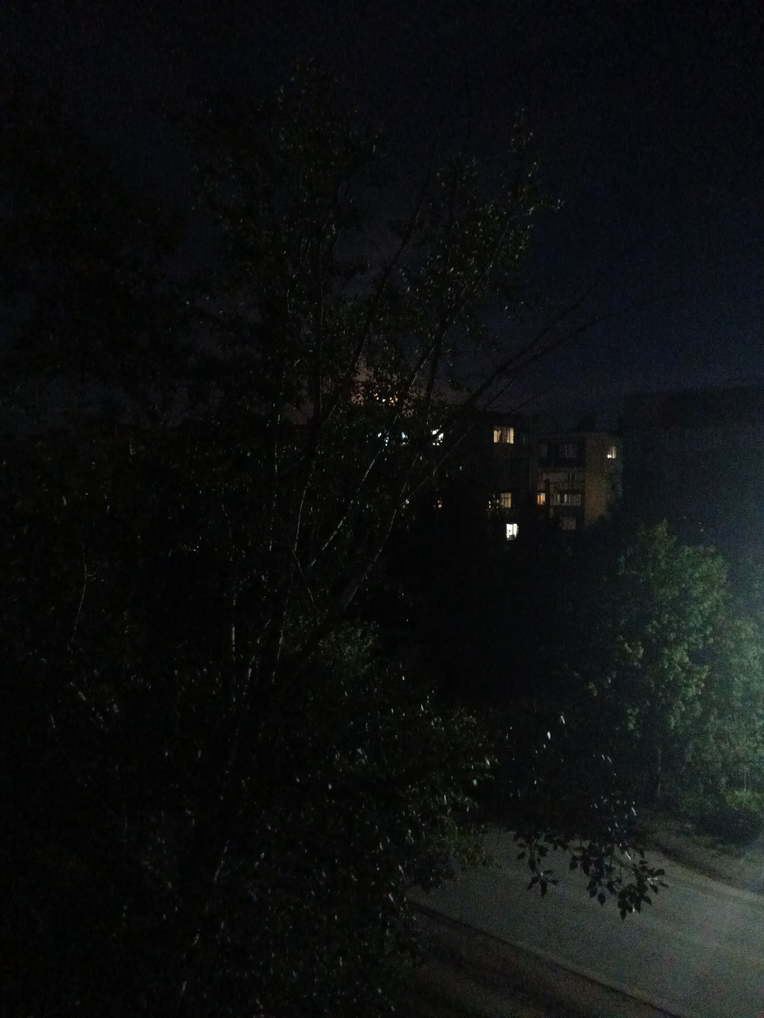 A nighttime view of an apartment building and surrounding trees is captured in this photograph, likely taken in Kuznetsk, Russia. The building, illuminated by interior lights in several windows, appears to be multi-story. Dense foliage from trees partially obscures the view of the building and the paved area in the foreground, which could be a road or pathway. The overall scene is dark, with the limited light sources creating a sense of depth and mystery. The image conveys a quiet, possibly urban, environment at night.