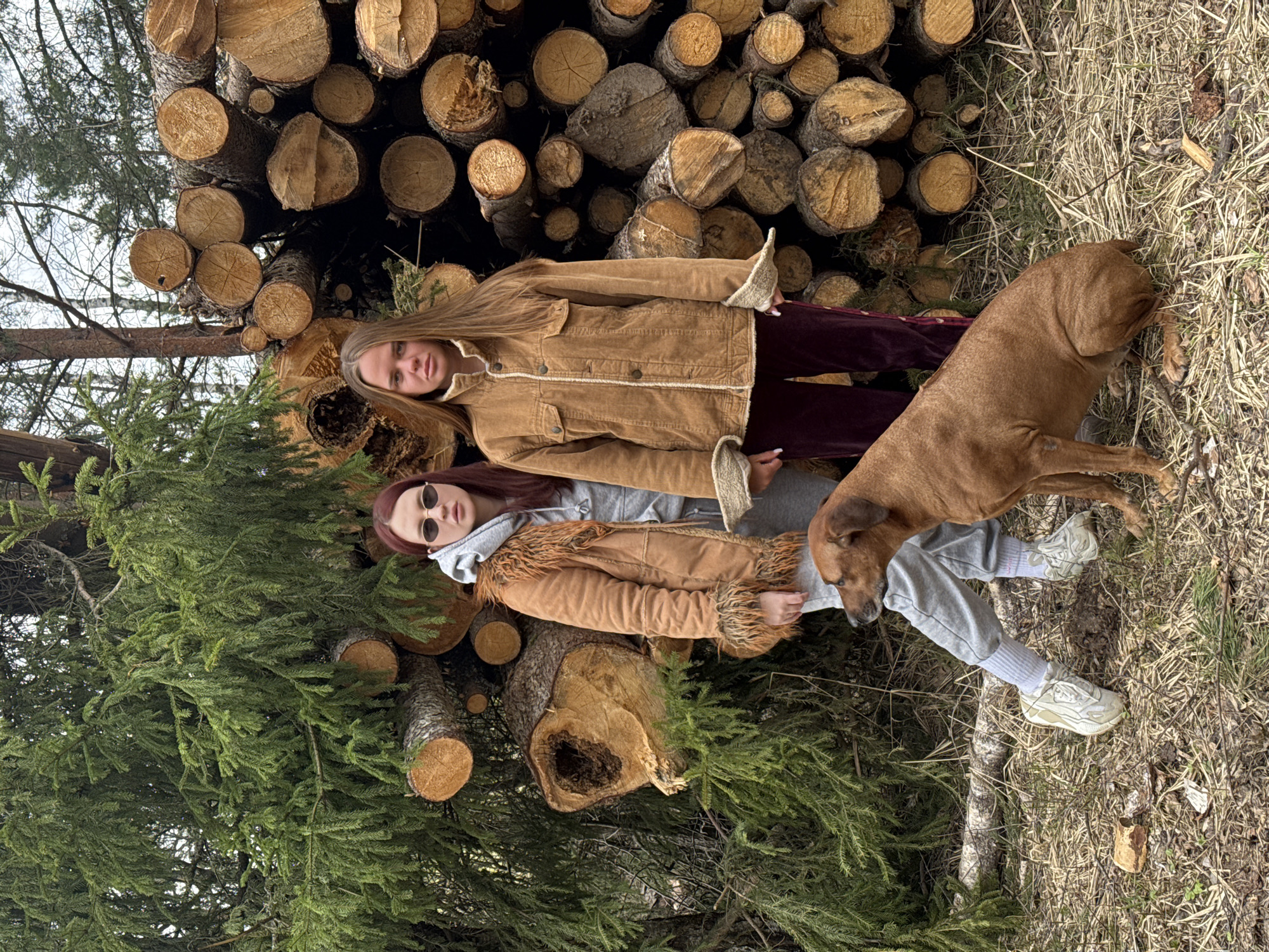 Two young women and a brown dog are positioned beside a stack of logs and a pine tree. One woman, with blonde hair, wears a tan corduroy jacket and burgundy pants. The other, with auburn hair, wears a similar tan jacket with a grey hoodie and grey sweatpants. She also wears sunglasses. The brown dog stands beside the second woman, near the edge of a grassy area. The log stack is made of many various-sized cut logs stacked upon each other. The backdrop includes a forest with leafless trees. The location is likely near Grebnevo, Russia.