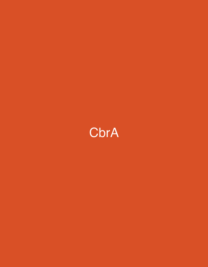 The image is a digitally rendered graphic featuring a solid, vibrant orange background. Centered horizontally and slightly below the vertical midpoint of the frame, the text "CbrA" is displayed in a clear, sans-serif, white uppercase font. There are no other discernible subjects, objects, people, or environmental details present within the image itself. This graphic is presented in the context of the city of Casablanca, Morocco.