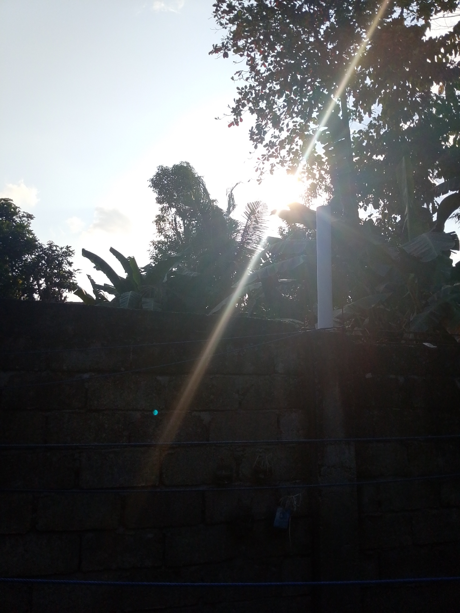 The image shows a view of lush green vegetation and a brick wall under a bright, hazy sky. The sun's rays are piercing through the leaves of trees, creating a lens flare effect. There is a white pole in the center of the frame, and a blue lock hangs on the brick wall. The scene appears to be an outdoor area, possibly a backyard or a garden, in Se'pon, Indonesia. The overall atmosphere is serene and natural.