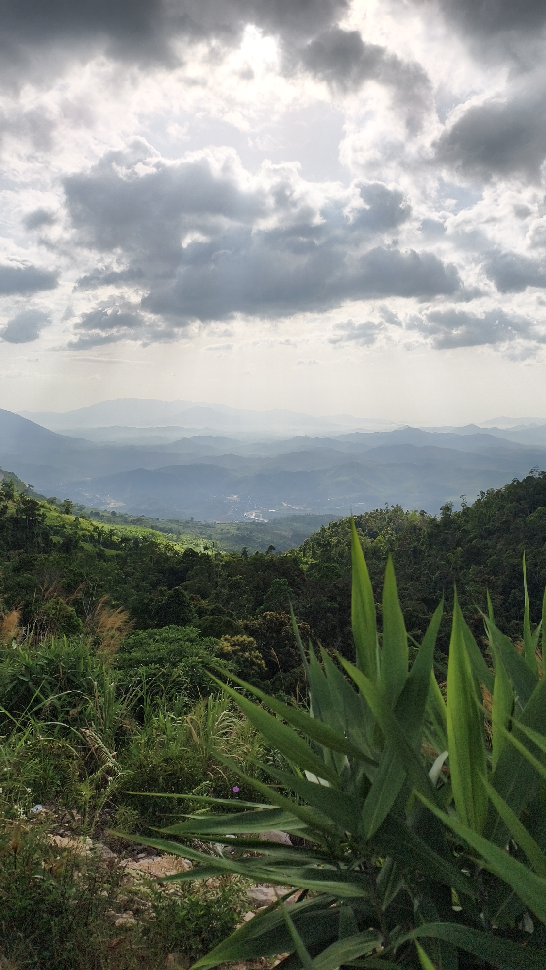The image captures a sweeping panoramic view of a mountainous landscape, likely from an elevated vantage point. In the foreground, lush green foliage, including tall grasses and broad leaves, dominates the lower right quadrant. The midground reveals a densely forested valley with rolling hills, interspersed with patches of lighter green indicating cultivated areas or clearings. Further in the distance, multiple layers of mountains fade into a hazy, atmospheric perspective, suggesting a significant depth to the scene. The sky above is a dramatic mix of dark, brooding clouds and patches of bright sunlight, creating a sense of dynamic weather.
The specific location is identified as being in or overlooking the city of Nam Khanh Vinh, Vietnam. The scene appears to be a natural vista, possibly a national park or a scenic overlook, given the undeveloped, wild character of the vegetation and the vast expanse of the mountain ranges. There are no people or man-made structures clearly visible that would indicate immediate urban activity, other than what might be a small settlement or infrastructure faintly discernible in the distant valley. The overall impression is one of natural beauty and the grandeur of the Vietnamese highlands.