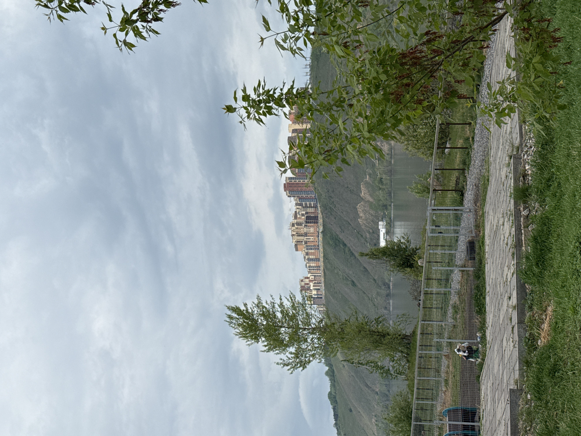 The image presents a landscape likely located in Krasnoyarsk, Russia, indicated by the high-rise buildings on the hillside characteristic of the city. The view is from a slightly elevated position alongside a paved path or walkway.
To the right, there is an area with green grass and a metallic fence. A variety of trees or bushes are partially obscuring the view.
In the background, a large hill rises, dotted with tall apartment buildings. Behind the hill, a body of water reflects light and connects to the wider landscape. The sky is overcast with a mix of light and dark clouds.
There appears to be a person standing near the fence but the resolution makes it difficult to identify clearly.