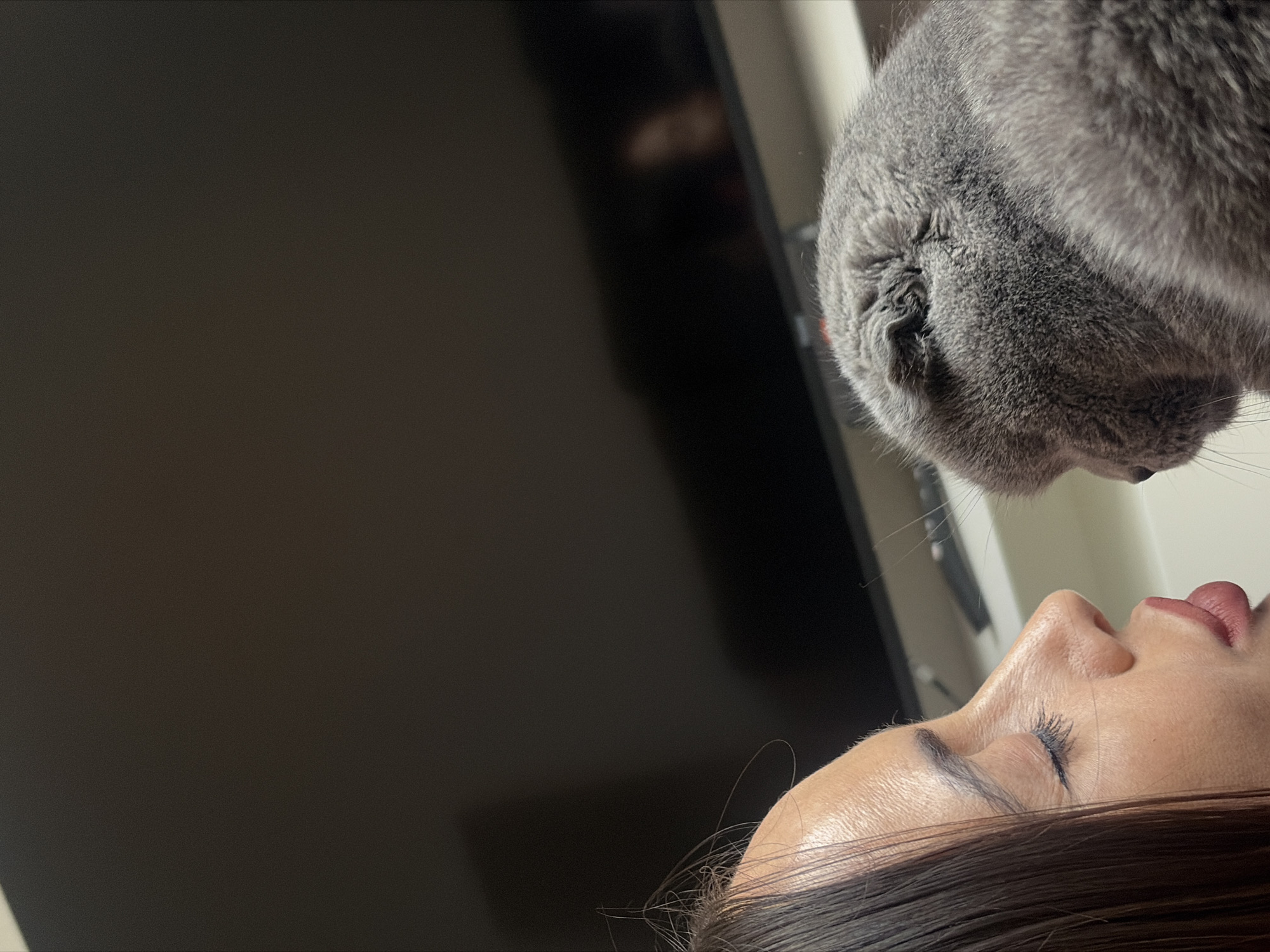 This image captures an intimate indoor scene in Saint Petersburg, Russia. The left side of the frame features the right profile of an adult female, whose eyes are closed and lips are slightly parted. She has dark hair, dark eyeliner, and a fair complexion. Directly opposite her, on the right side of the frame, is a grey domestic cat, likely a Scottish Fold or British Shorthair, distinguishable by its dense grey fur and visible folded ear. The cat's head is slightly turned, and its features are less distinct than the female's. Their faces are in close proximity, suggesting a moment of affection or interaction. The background consists of a dark, flat-screen television or monitor, which displays a faint, blurred reflection. The ambient lighting is dim, indicating an interior setting.