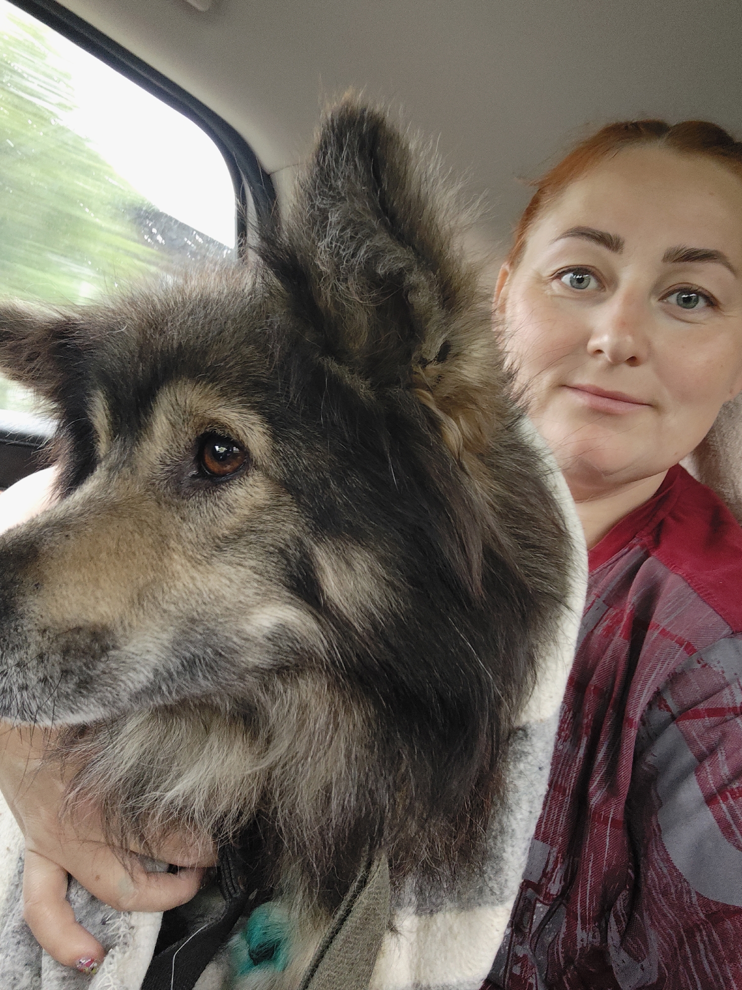 A woman and a large dog are captured inside a car, likely traveling in Фоки, Russia, during the daytime. The woman, with reddish-brown hair and light blue-green eyes, is on the right, looking calmly at the camera with a slight smile. She wears a red and grey plaid shirt. Her left hand, with a hint of colorful nail polish, gently supports the dog, which is partially covered by a light-colored, possibly plaid, blanket or towel.
The dog, a large, fluffy animal with thick fur in shades of brown, black, grey, and white, occupies the left side of the frame. It has a dark brown eye and is looking intently out of the car window. The background visible through the window is blurred with bright light and green foliage, indicating the vehicle is in motion. The overall mood is serene, showing a close bond between the owner and her pet during their journey. No visible text is present.