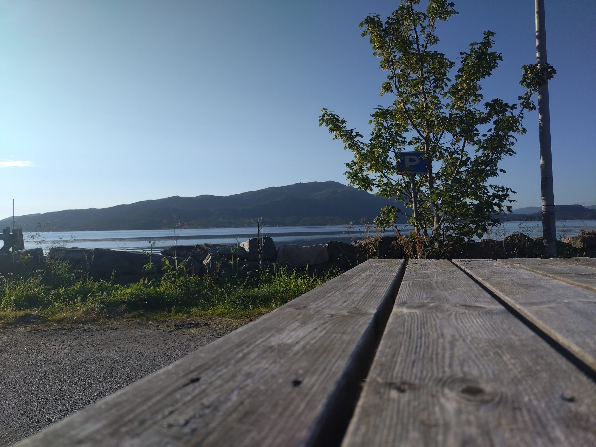 This image depicts a waterside scene in Bremsnes, Norway, viewed from the perspective of a wooden picnic table. In the foreground, the weathered gray planks of the table stretch diagonally across the frame, with a gravel path and green grass bordering it. Behind the grass, a rocky embankment separates the land from a calm body of water. Across the water, a large, dark mountain range dominates the background under a clear, pale blue sky. A lone tree with green leaves stands to the right of the frame, with a blue parking sign attached to its trunk. A tall, thin pole, possibly a lamppost, is positioned next to the tree. The overall impression is of a serene, natural landscape bathed in bright, clear sunlight.