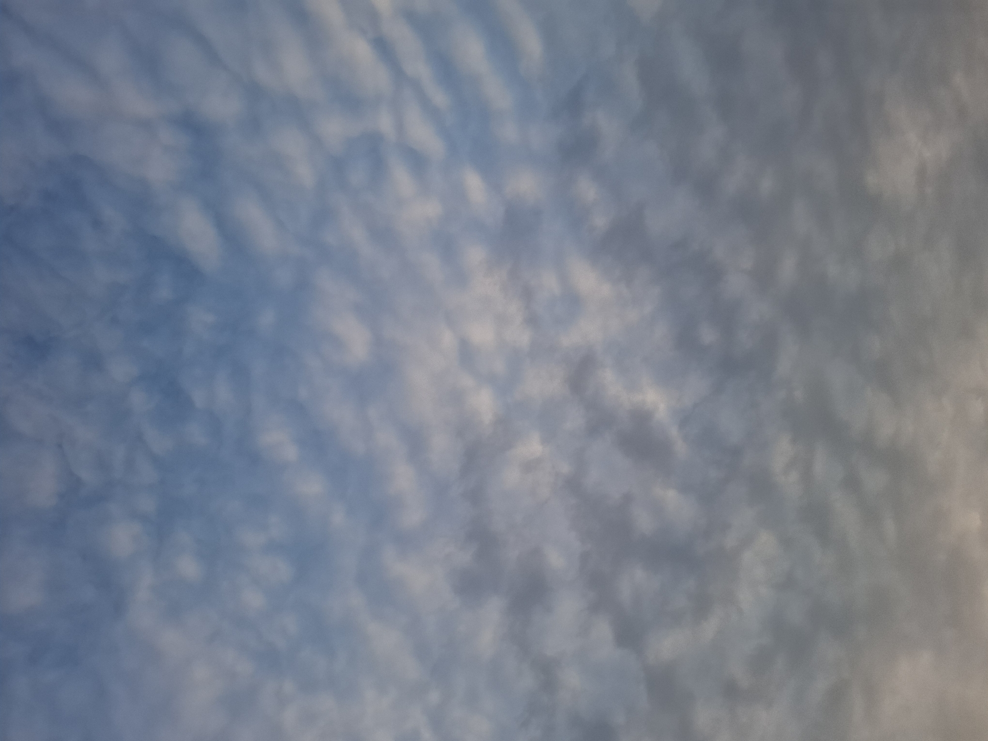 The image shows a sky filled with altocumulus clouds. The clouds are arranged in a rippled pattern, with varying shades of white and gray. A portion of the blue sky is visible in the top left corner of the image, and the sky appears to be brighter on the right. The location is presumably Дерезовка, Russia. The image depicts the sky and clouds; there are no people or other objects visible.