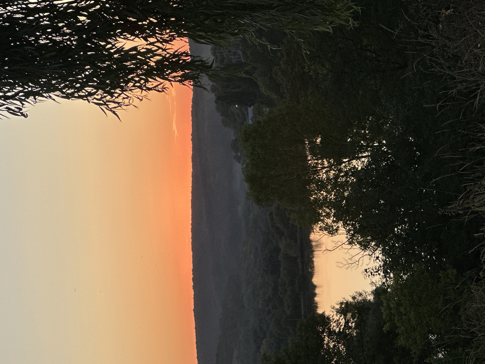 The image depicts a serene sunset over a tranquil natural landscape. The sky is a gradient of warm colors, transitioning from a pale yellow at the top to a vibrant orange near the horizon. A silhouetted treeline forms a dark band across the middle of the frame, separating the sky from the forested hills and a body of water below. The water reflects the warm hues of the sunset, creating a shimmering surface. Lush green trees frame the foreground and sides of the image, with some branches of a weeping willow tree hanging into the upper right portion of the frame. The overall impression is one of peaceful natural beauty, likely captured at dusk. The location is specified as Makiv, Ukraine.