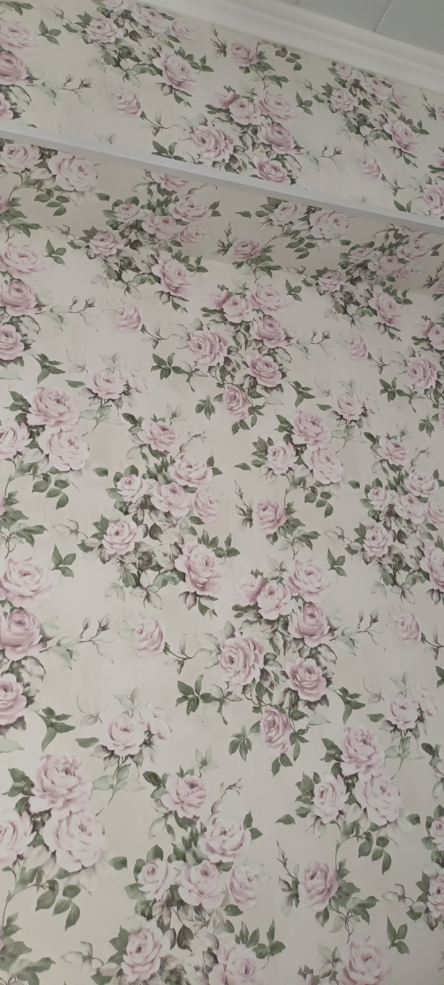 The image shows a close-up view of floral wallpaper with a pale beige background and scattered pink roses and green leaves. The wallpaper appears to be applied to a wall or ceiling, with a white molding visible at the top edge of the image. There are no people, animals, or any other objects in the frame. The scene is indoors, and the lighting suggests it is daytime, possibly with natural light. The location in Fergana City, Uzbekistan, cannot be determined from the visual information provided in the image.