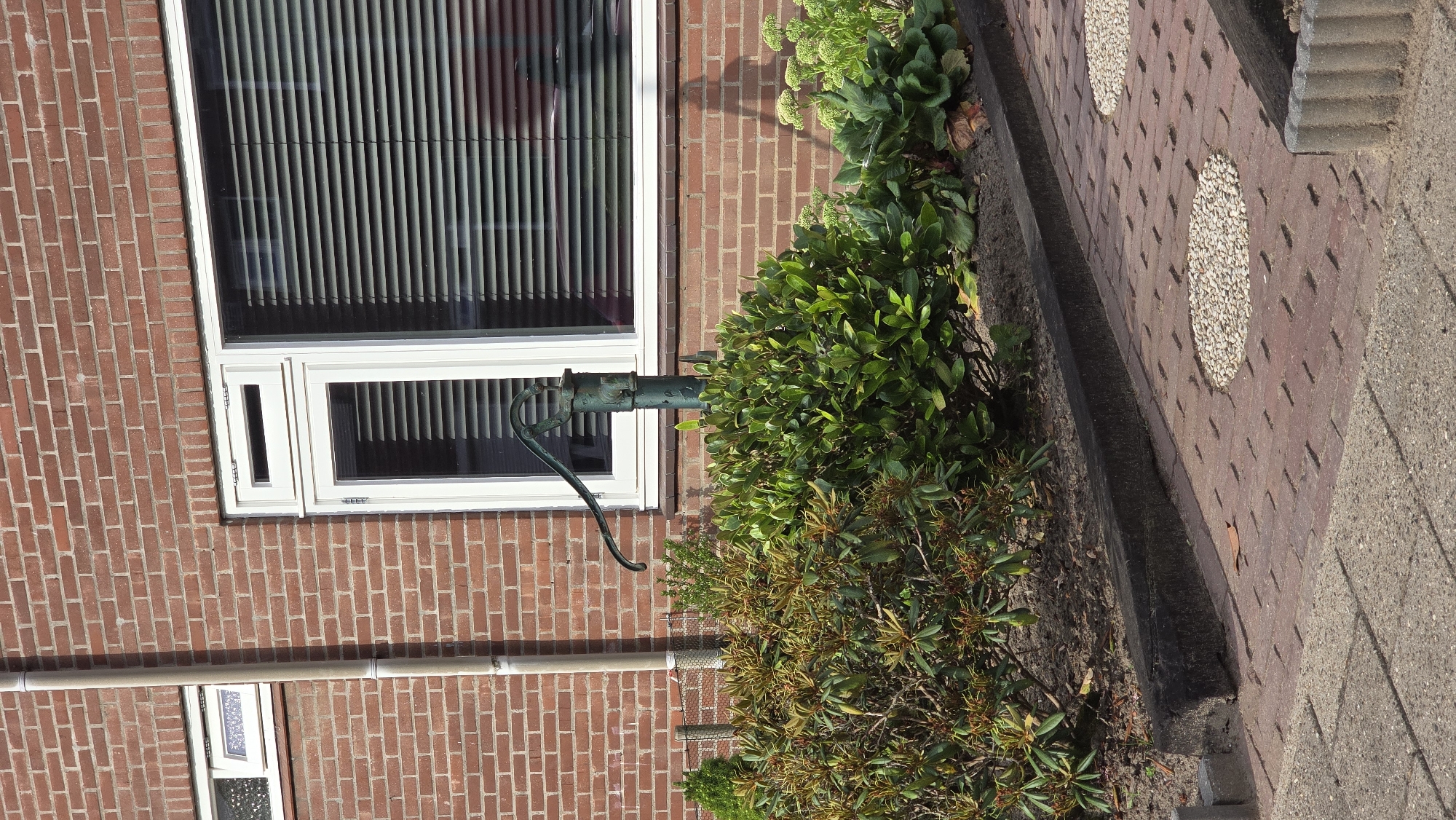 The image shows an exterior scene with a red brick building. A tall, light-colored downspout runs vertically along the left side of the brick wall. To the right of the downspout, a white-framed window with horizontal blinds is visible. In front of the window, a dark green, old-fashioned hand water pump stands on a dark border that separates a garden area from a paved walkway. The garden features dense green foliage and some plants with developing buds. The walkway is paved with red bricks and includes circular inlays filled with small white pebbles. In the lower right corner, a gray concrete border with a textured surface is partially visible. The scene appears to be in a residential area in Zeddam, Netherlands, given the architectural style and landscaping.