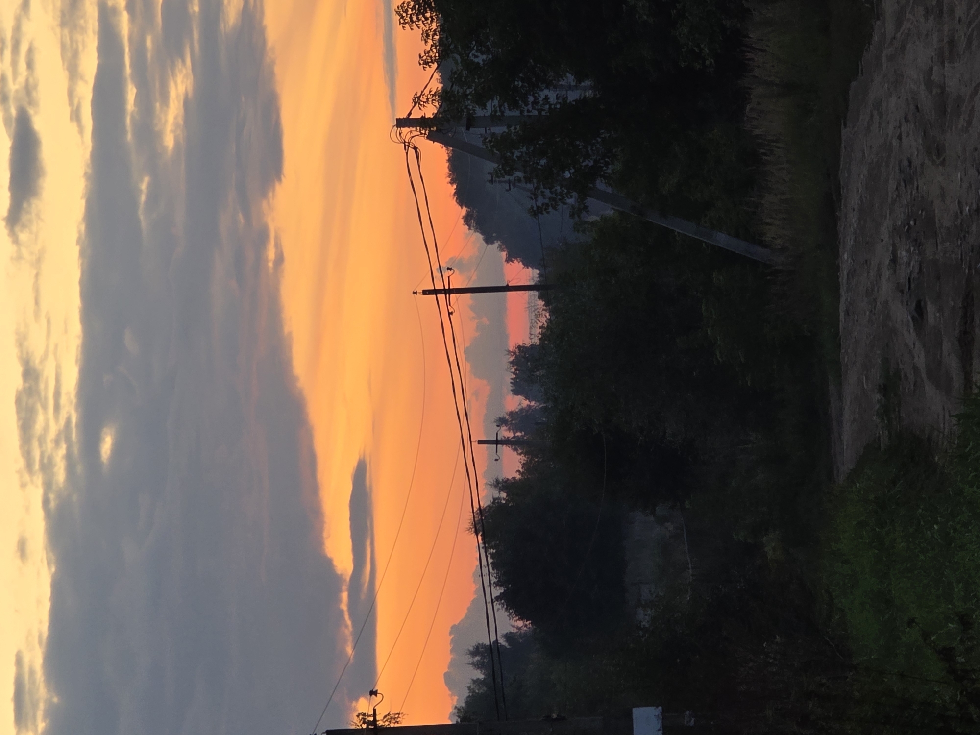 The image shows a rural landscape at dusk, likely in the city of Речицы, Russia. The sky is a dramatic mix of orange and gray clouds, illuminated by the setting sun. In the foreground, a dirt road leads through dark vegetation, with tall trees lining the horizon. Several utility poles and power lines are visible, stretching across the frame, suggesting the presence of infrastructure in this otherwise natural setting. The overall impression is one of quiet and solitude, with the fading light casting long shadows and creating a moody atmosphere.