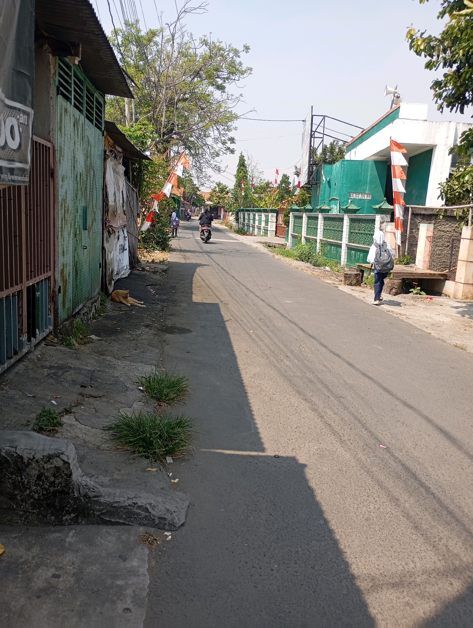 This image depicts a street scene in Babelan, Indonesia, on a sunny day. A narrow asphalt road runs through the scene, with a worn concrete sidewalk on the left and a green fence bordering properties on the right. Several red and white Indonesian flags are displayed along the fence, suggesting a national holiday or celebration.
On the sidewalk, a ginger-colored cat is lying down. A person wearing a black hijab and carrying a backpack is walking away from the camera on the right side of the road. Further down the road, two individuals on a motorcycle are heading away from the viewpoint. The buildings visible include a simple structure with a corrugated metal roof on the left and a white building with green accents and a loudspeaker on the right. The environment appears to be a residential or mixed-use area, with a clear sky and shadows cast by overhead wires and trees.