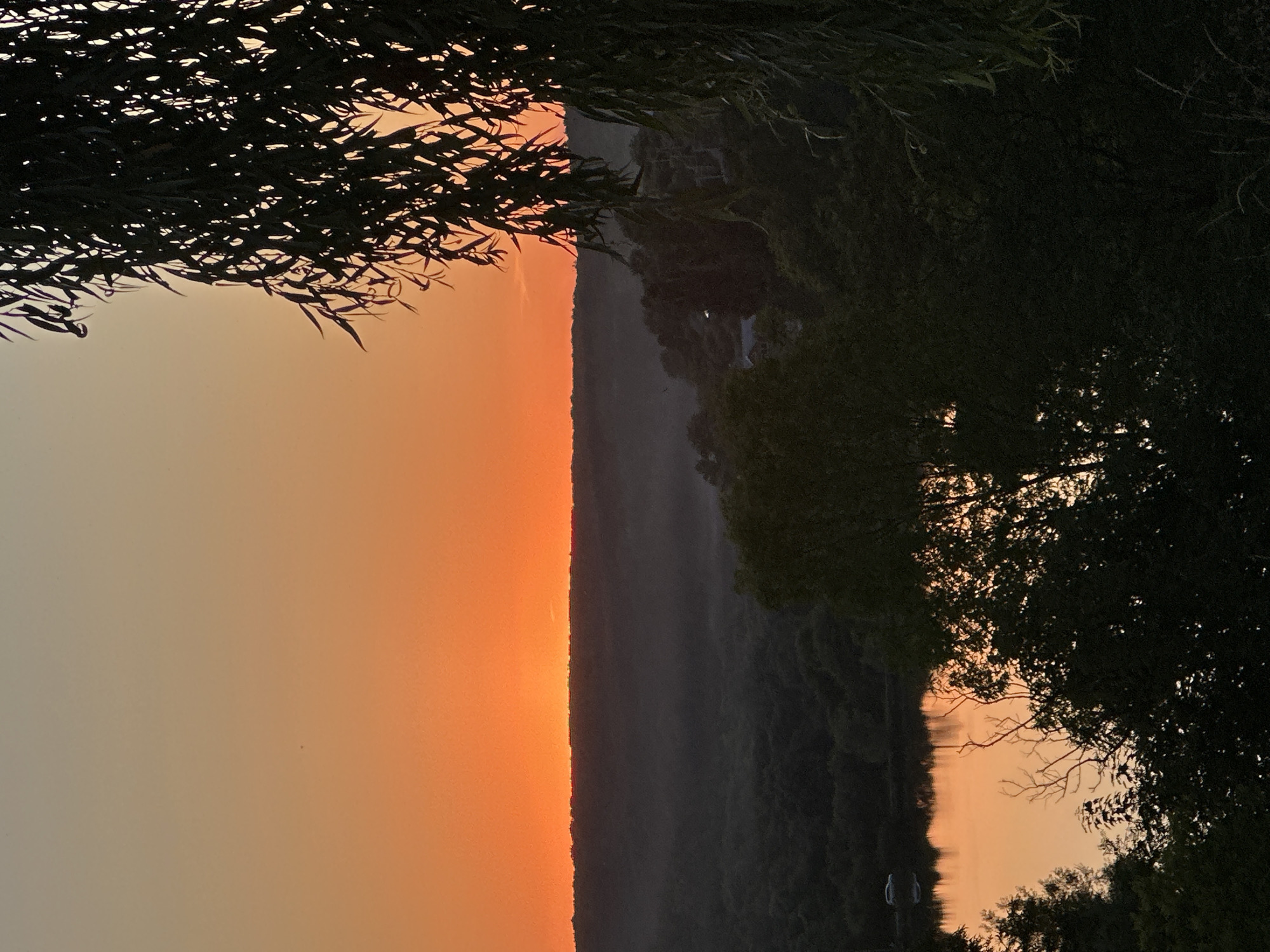 The image captures a sunset over a landscape that appears to be rural, possibly in or near the city of Makiv, Ukraine. The sky is dominated by a gradient of warm orange and yellow hues, transitioning to a pale beige at the top. A dark, silhouetted treeline runs horizontally across the mid-ground, with a body of water, likely a lake or river, in the foreground. The water reflects the colors of the sunset, creating a warm glow. In the distance, a small white object, possibly a vehicle or a boat, is visible on the far side of the water. The foreground is filled with the dark silhouettes of dense foliage, including the drooping branches of a willow tree on the right side of the frame. The overall impression is one of natural beauty and tranquility, characteristic of a sunset in a natural setting.