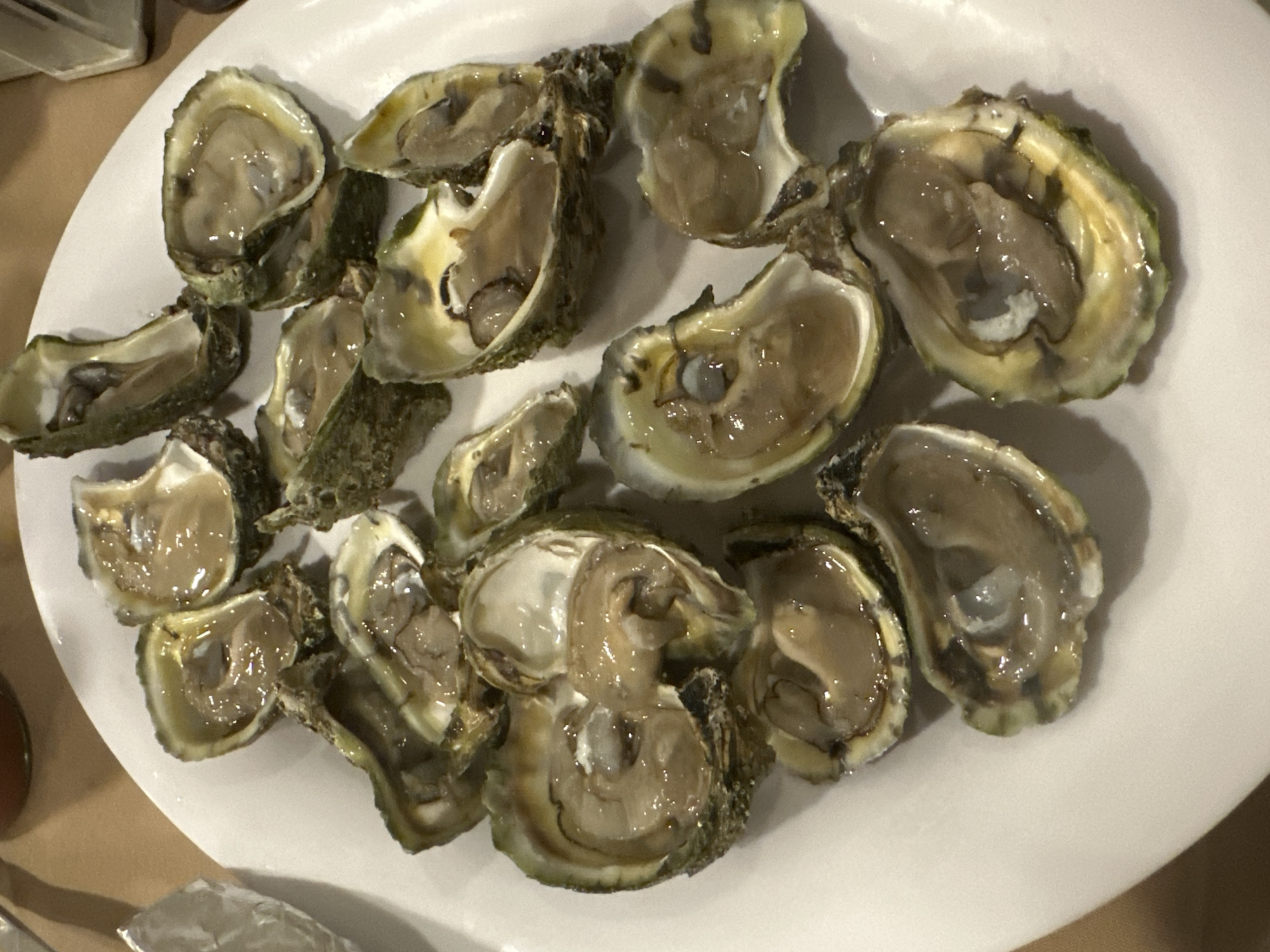 A white plate holds a collection of raw oysters on the half shell. The oysters appear fresh and glistening with natural juices. Their shells are a mix of green and brown hues. The scene is indoors, likely at a restaurant or dining establishment. The location is unspecified, and cannot be determined as San Bernardino Tlaxcalancingo, Mexico.
