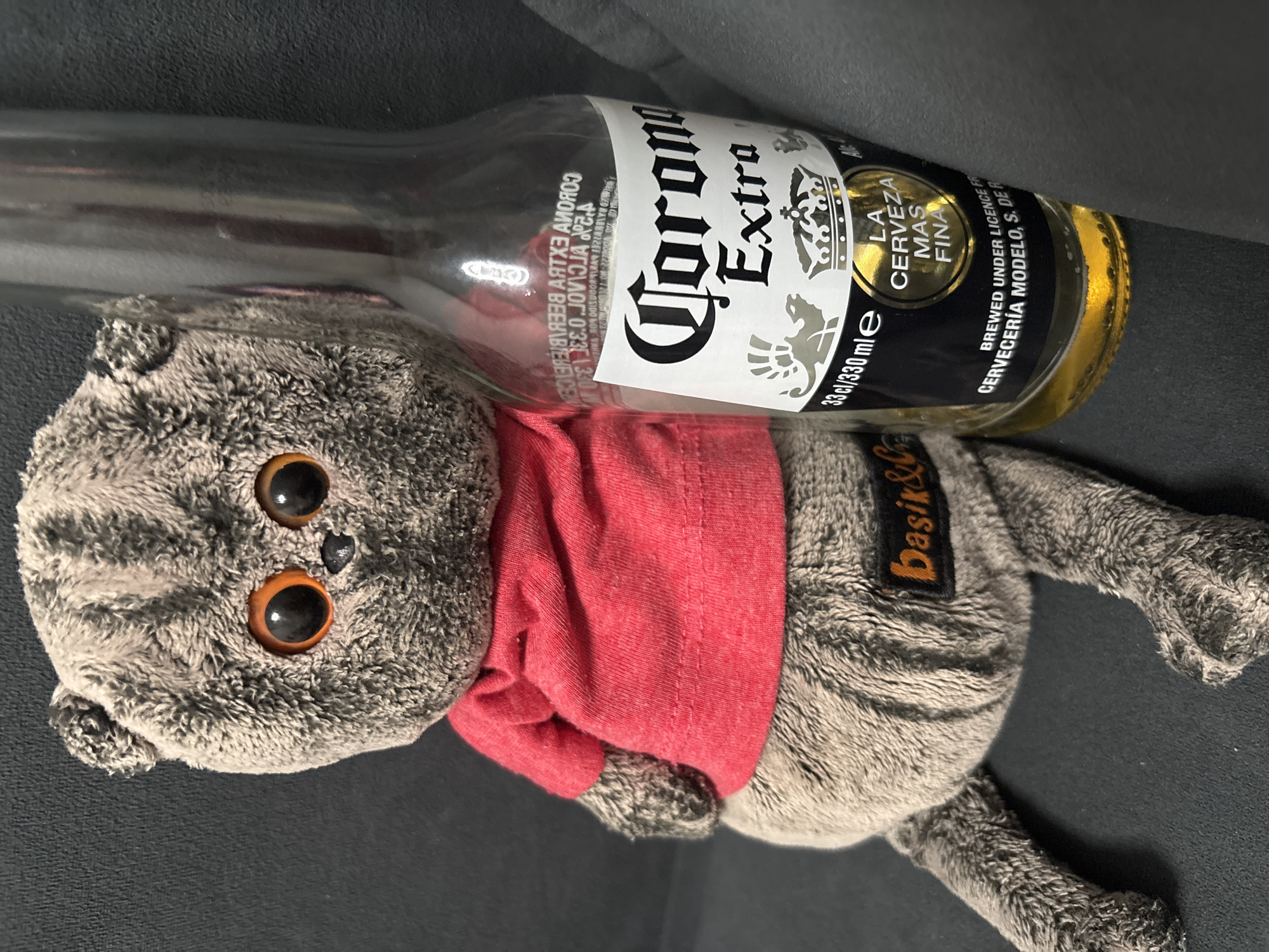 The image depicts a gray tabby cat plush toy wearing a red shirt. A bottle of Corona Extra beer is placed on top of the toy. The toy has large, round orange eyes and a black nose. A tag reading "Basik&C" is visible on the toy's side. The Corona Extra beer label is partially visible, displaying the brand name, the volume (33cl/330ml), and the phrase "LA CERVEZA MAS FINA". The background is a dark gray fabric. The image was not captured in the city of Chaikovsky, Russia.