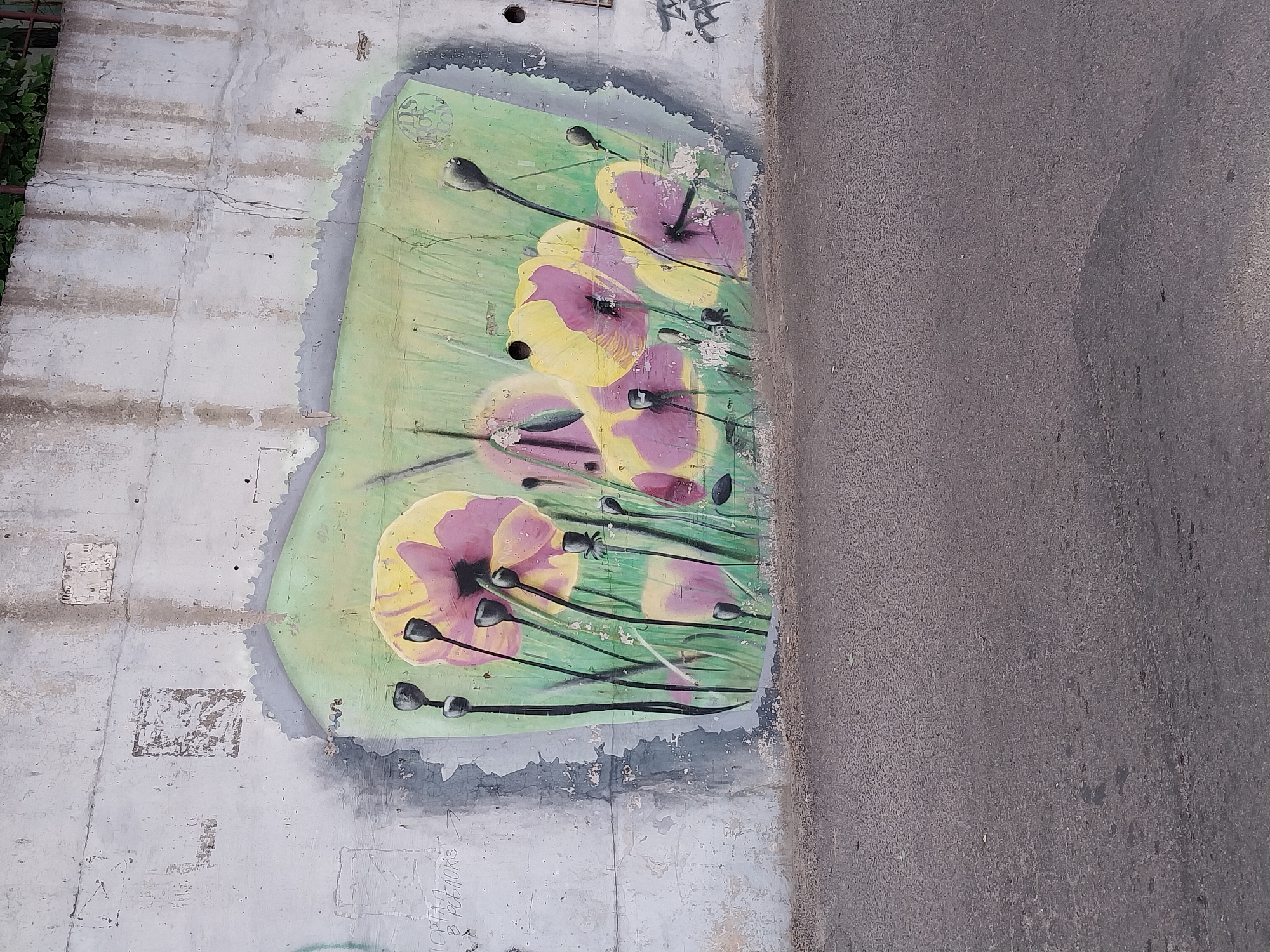 A graffiti mural of several stylized poppies with yellow and purple petals adorns a rough, gray concrete wall. The poppies are depicted with thin, black stems and dark buds. The background of the mural is a pale green. The concrete wall itself shows signs of weathering and staining, with some areas of peeling paint and smaller, older graffiti marks. In the foreground, a dark asphalt surface stretches across the bottom of the frame. The scene appears to be an outdoor urban setting, likely a public space in Dnipro, Ukraine, given the context.