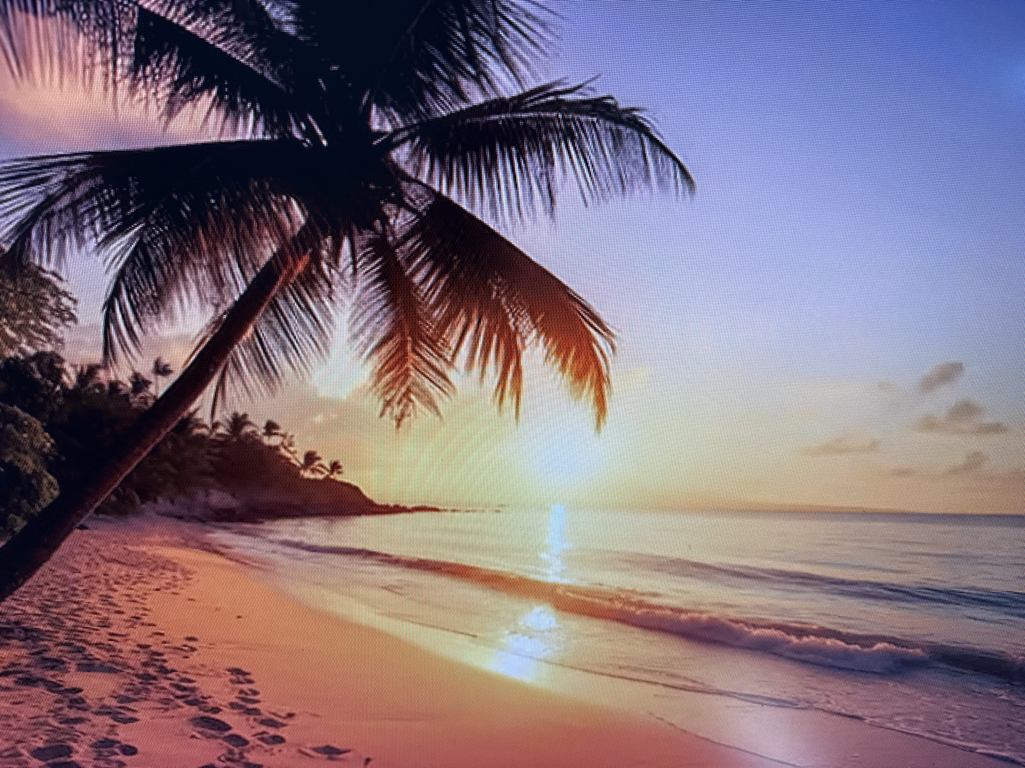 This image depicts a serene tropical beach scene at sunset. A silhouetted palm tree dominates the left side of the frame, its fronds casting shadows on the sandy shore. The sand is marked with footprints, suggesting recent human presence, though no people are visible. The ocean gently laps at the shore, with soft waves reflecting the warm hues of the setting sun. In the distance, a lush green coastline with more palm trees is visible. The sky transitions from a soft pink and orange near the horizon to a pale blue overhead. The overall mood is peaceful and tranquil. The time of day is clearly sunset, indicated by the low angle of the sun and the warm colors in the sky and water. There is no visible text in the image. The location context provided (Szczecin, Poland) is incongruous with the tropical imagery.