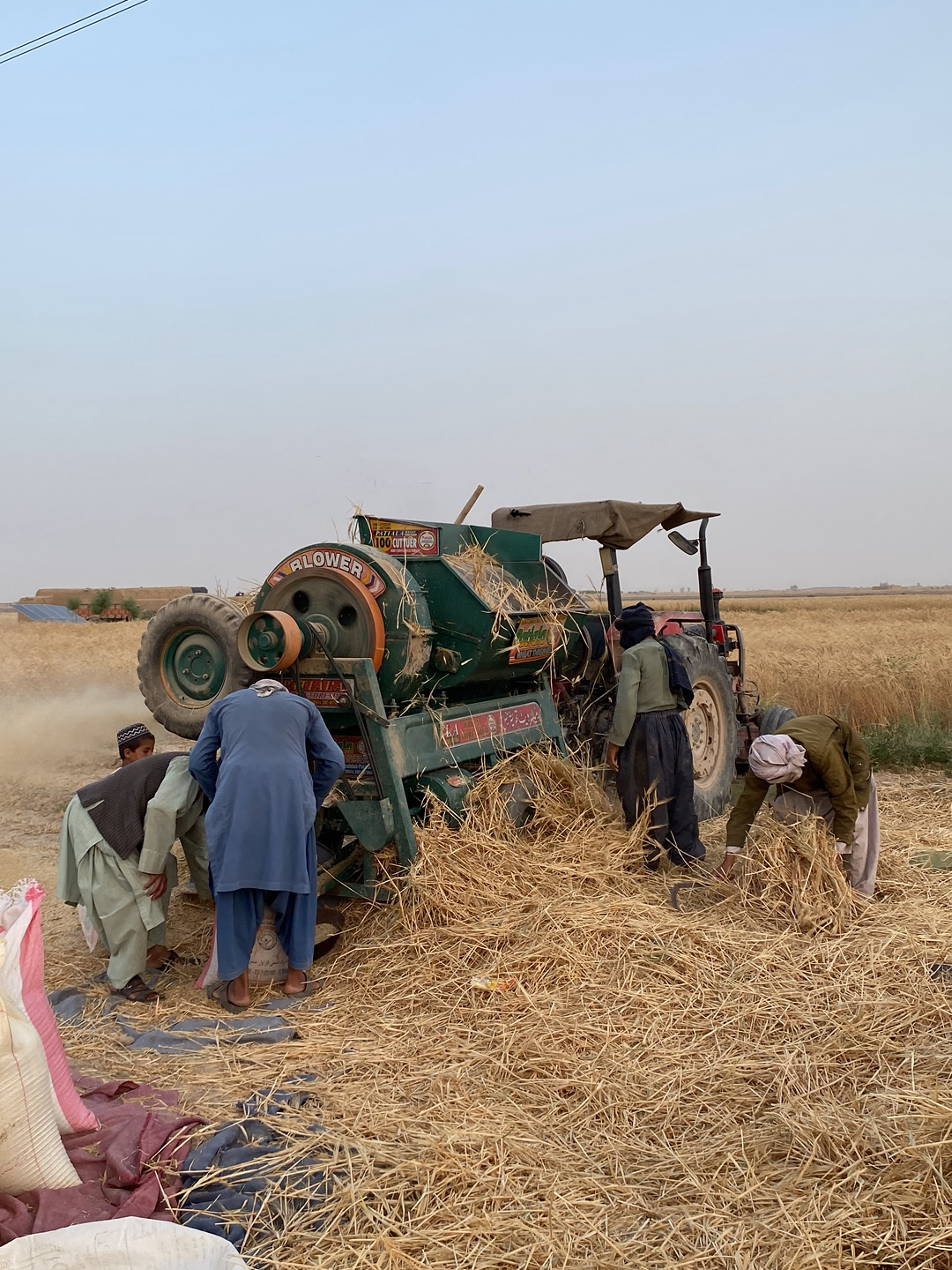 In a rural setting in Alaqadari Daman, Afghanistan, several individuals are engaged in harvesting a field of wheat or similar grain. A green threshing machine, coupled with a tractor, is central to the scene. Four men are directly involved with the machinery, positioning themselves around the machine to feed straw and collect grain. Another man is assisting on the left. The processed straw is accumulating on the ground around the machine, and bags are present for collecting the separated grain. The environment appears to be an open field with a clear sky, and the overall scene depicts active agricultural harvesting.