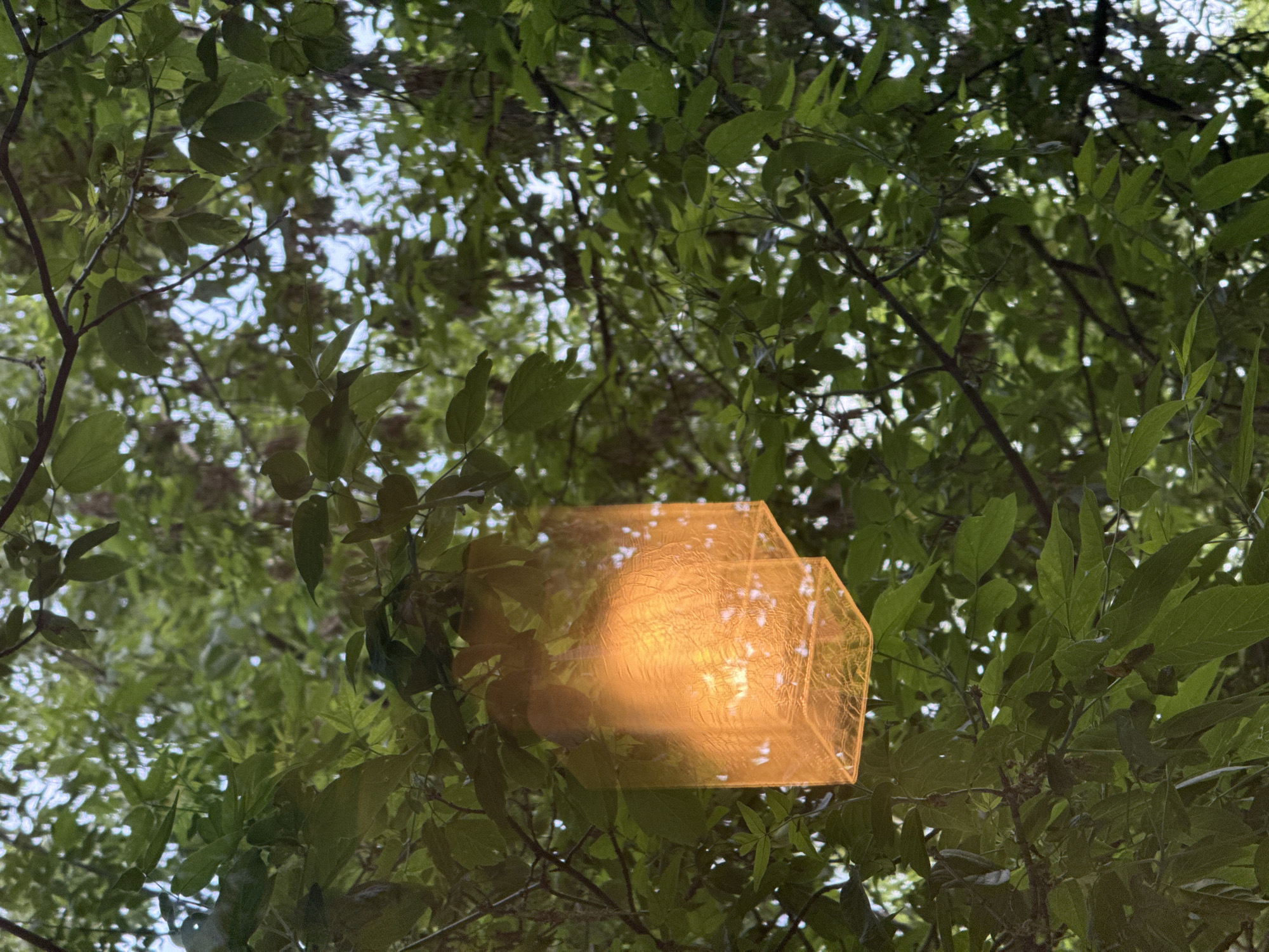 The image shows a view looking up through a tree canopy towards the sky. The leaves are green and dense, partially obscuring the sky. A translucent, orange geometric shape, resembling a flattened lantern or decorative object, is suspended among the branches. The location and city are not discernible from the image.