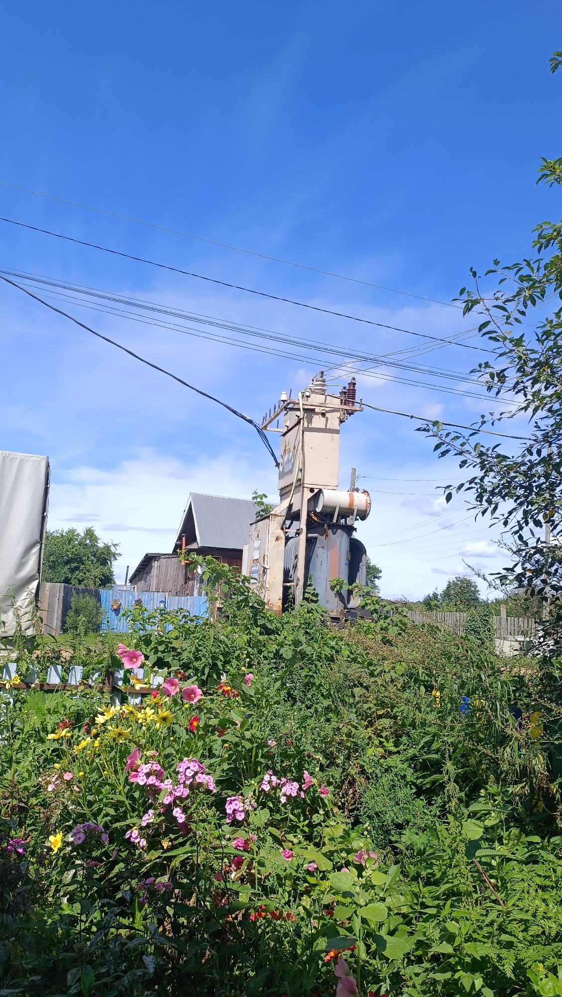 An outdoor, eye-level, medium shot captures a sunny day in Karsha, Russia. The scene is dominated by a large, rusty electrical transformer positioned amidst overgrown greenery. The transformer, a weathered beige color with gray and orange accents, stands tall, its electrical components visible at the top. In the foreground, a vibrant array of flowers, including pink hollyhocks, yellow daisies, and other colorful blossoms, creates a lush carpet. Behind the transformer, a rustic wooden fence and a traditional house with a gray roof are visible. Power lines crisscross the bright blue sky, dotted with scattered white clouds. To the left, a white tarp covers an unseen object. The overall impression is one of a slightly neglected, yet beautiful, rural setting.