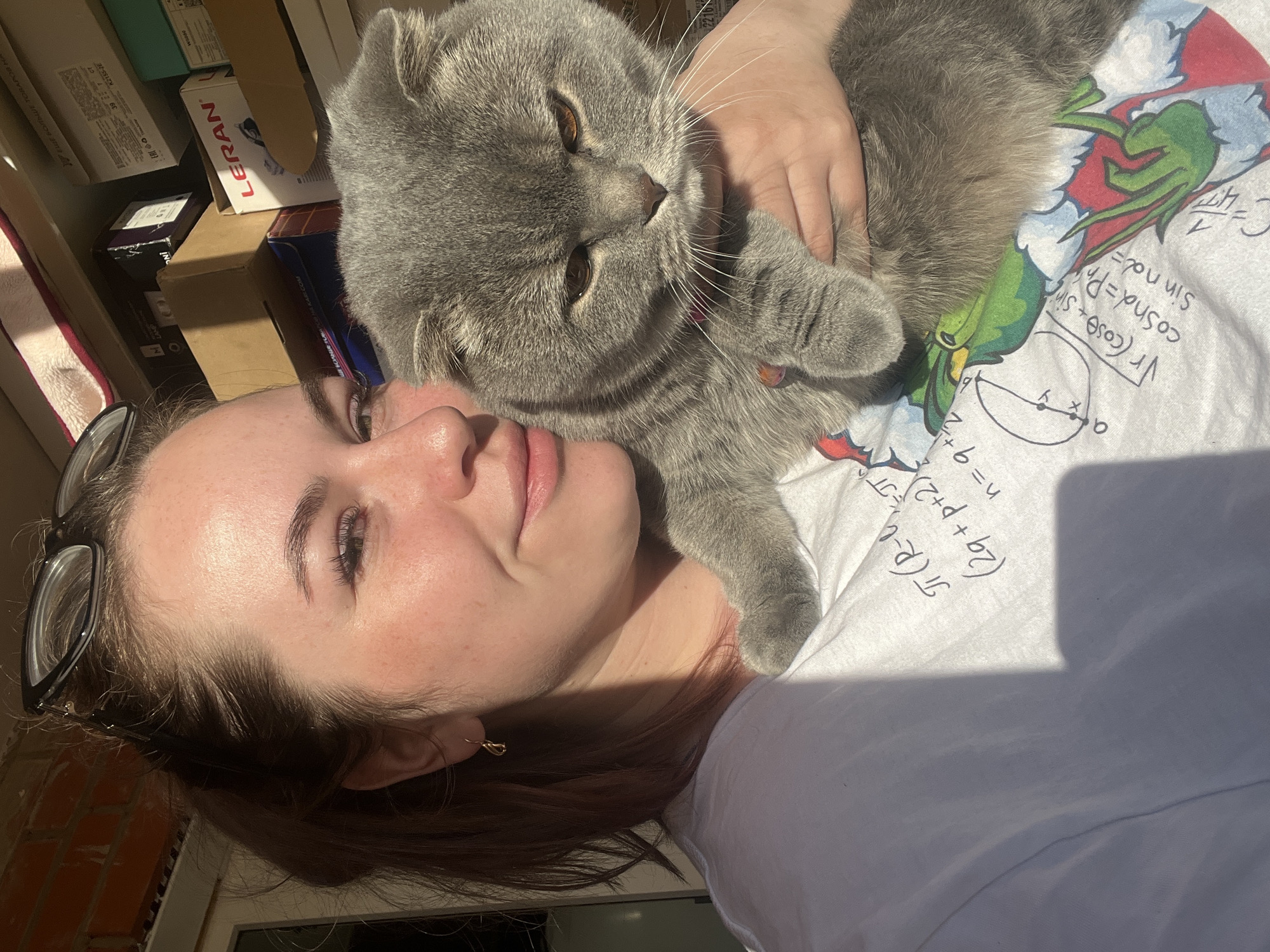 A young woman with brown hair and glasses perched on her head lies down, looking towards the camera with a gentle smile. She wears a small gold earring in her visible ear. Resting comfortably on her chest and shoulder is a fluffy grey Scottish Fold cat with striking amber eyes. The woman's hand is softly placed on the cat, which appears relaxed and is gazing slightly away from the camera.
The scene is brightly lit by strong, direct sunlight, casting distinct shadows across the woman's neck and the white t-shirt she is wearing. The t-shirt is adorned with various handwritten math formulas and diagrams, including "Vr (cose + sin", "cosnd=Pr", "Sin nd=", "(2q+p+2)", "n=", "(R-", and a geometric diagram featuring x and y coordinates, alongside a colorful cartoon-like frog or lizard.
In the background, slightly out of focus, are several boxes and household items, suggesting an indoor setting. Text visible on these items includes "LERAN", "K2155-JE", "У ЕЩЕ БОЛЬШЕ ТОВАРОВ Н." (More goods H.), and "LAMP". A red brick wall is also partially visible, indicating the indoor environment. The bright lighting suggests it is daytime. The overall atmosphere conveys warmth and affection between the woman and her cat. This intimate moment takes place in Chaikovsky, Russia.