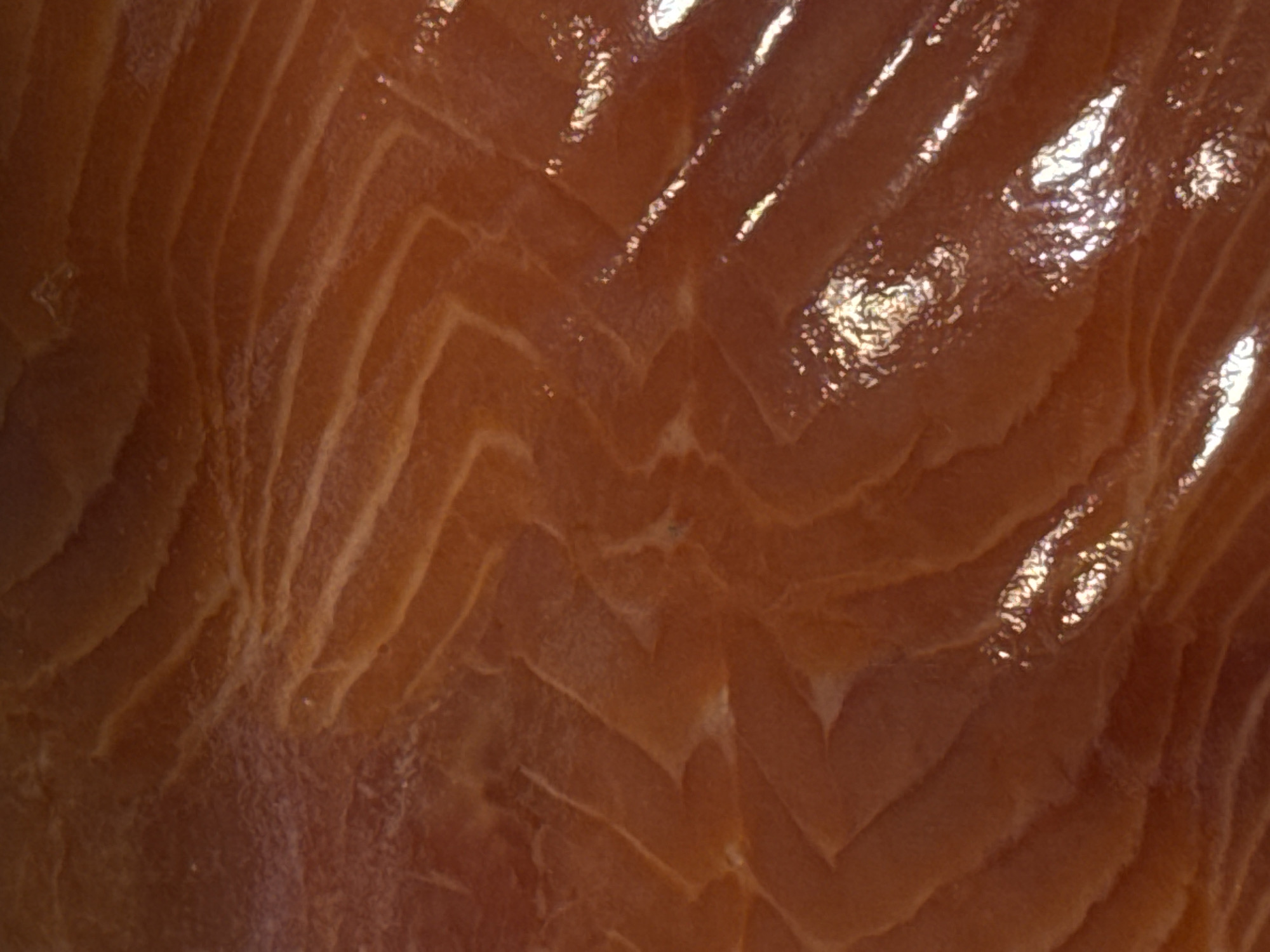 The image is a close-up, abstract view of raw salmon. The texture of the fish, with its distinct muscle fibers and fat lines, is the primary subject. There are no people, objects, actions, or environmental details visible. The image is not located in Moscow, Russia, or any other specific geographical location, as it is a detail shot of food.