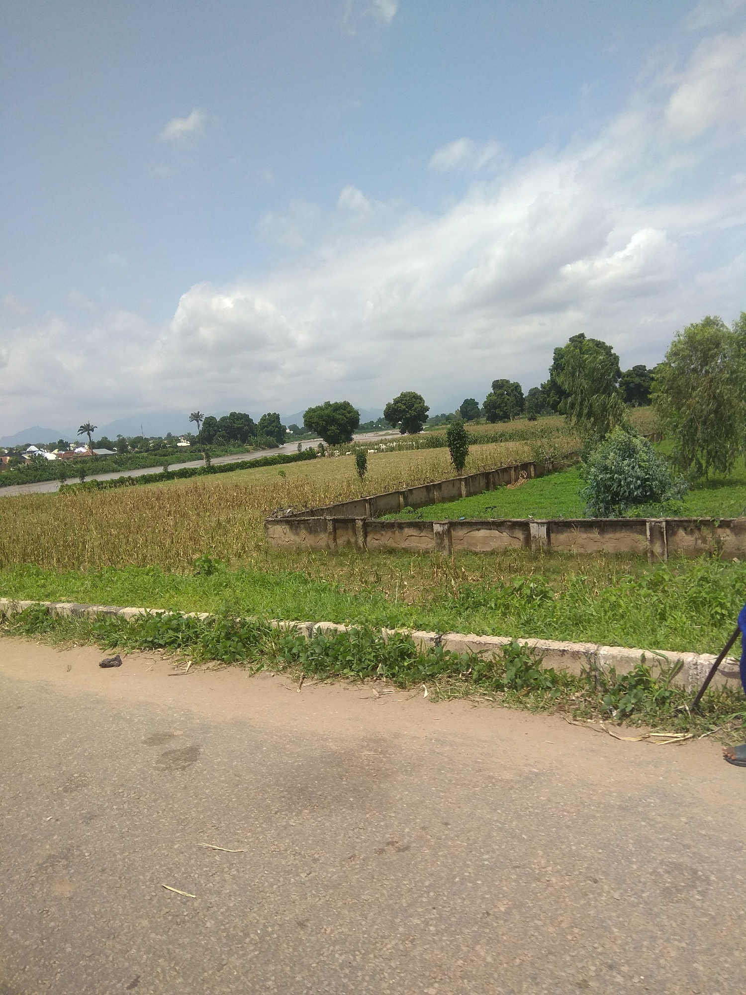 This media file captures an outdoor scene in Jalingo, Nigeria, under a bright sky with scattered clouds. The foreground is dominated by a paved road with some debris, including a dark, shoe-like object and two thin, light-colored sticks. To the right of the road, there's a strip of green grass bordered by a concrete curb.
Beyond the immediate foreground, a large field of dry, golden stalks, likely a crop such as corn or sorghum, stretches out. A low, weathered concrete wall runs along the edge of this field. Inside this walled area, a section of meticulously maintained green grass and a dense, leafy bush are visible. Further into the distance, a body of water, possibly a river or lake, is present, with buildings and trees lining its banks. The background features a line of lush green trees, some of which are quite tall, interspersed with more vegetation. In the far distance, mountains are faintly visible, suggesting a hilly or mountainous terrain surrounding the location.
The time of day appears to be daytime, given the bright lighting and clear sky, though some clouds suggest it might not be the peak of noon. The weather seems fair. The scene evokes a sense of rural or semi-rural life, with agricultural land and natural landscapes being prominent. There is no visible text in the media file. The focus is on the natural environment and cultivated land, with a hint of human settlement in the distance.