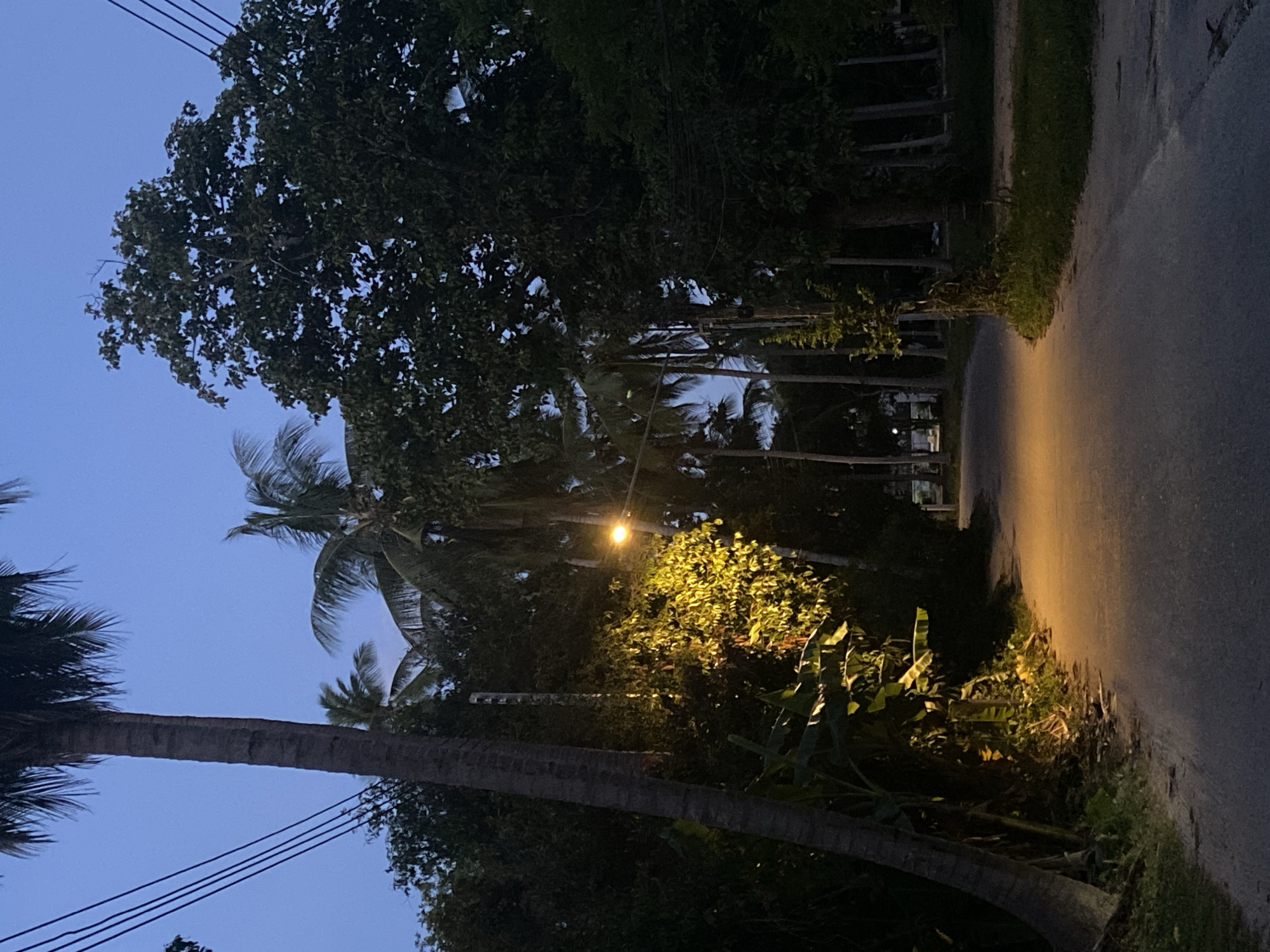 The image depicts a road illuminated by a street lamp in Baan Mae Nam, Thailand. Lush vegetation lines both sides of the road, including tall trees and palm trees. Power lines are visible against the twilight sky. The road surface appears paved, with some grassy areas along the edges. The lighting suggests the time is dusk or early evening. No people are visible in the frame.