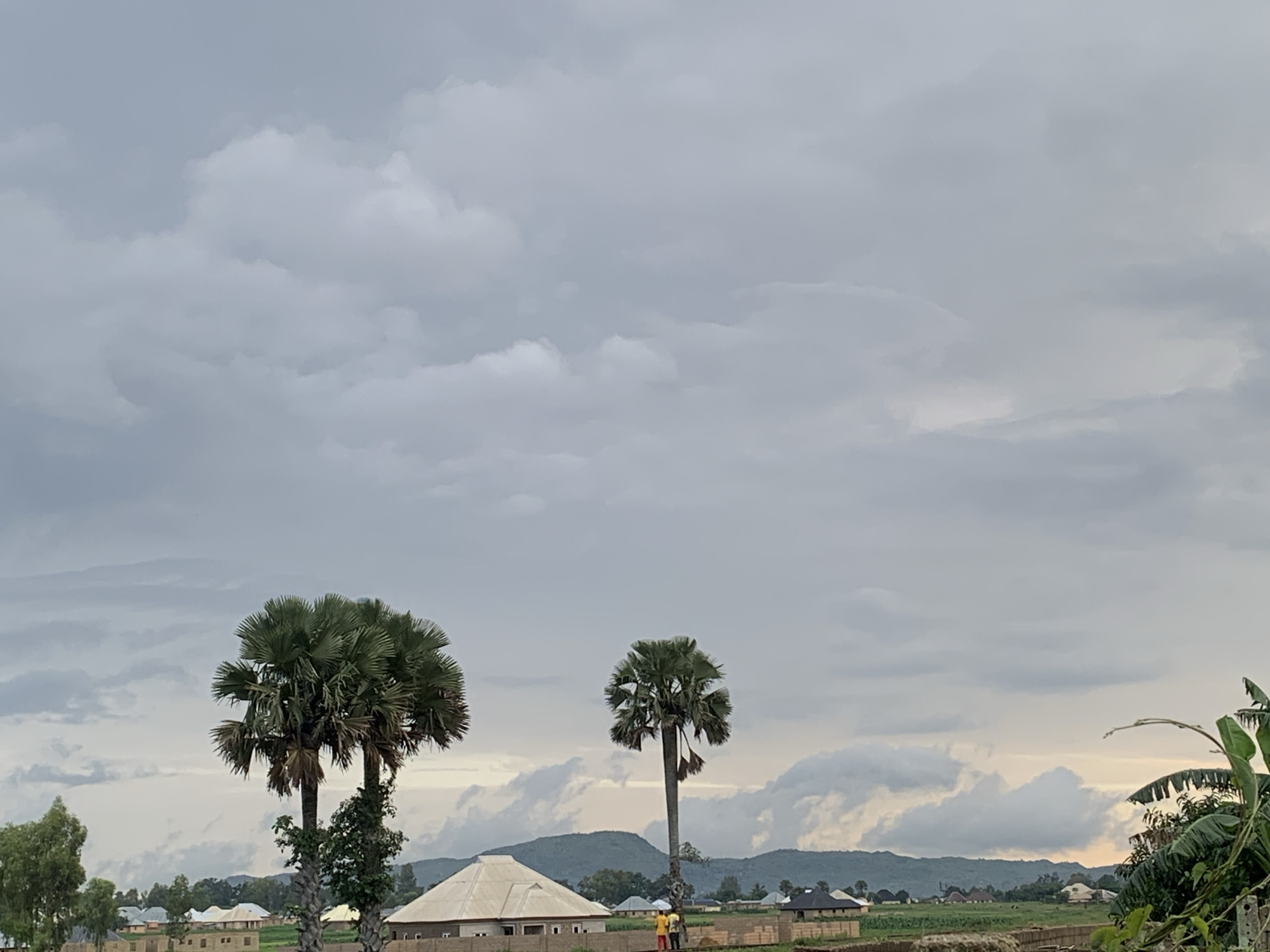 In Kuru Karama, Nigeria, under a cloudy sky, two prominent palm trees stand in a rural landscape. The left palm tree is broader and more spread out, while the right one is taller and more slender. In the foreground, the outlines of several buildings with light-colored roofs are visible, suggesting a developing settlement. Some houses have brick walls, and construction appears to be ongoing in some areas, indicated by piles of materials. In the middle ground, a few figures are present near a building, with two individuals in yellow and red attire standing out. A mountain range forms the distant backdrop, partially obscured by the clouds. The overall scene depicts a semi-urban or rural environment in Nigeria with signs of both established structures and ongoing development.