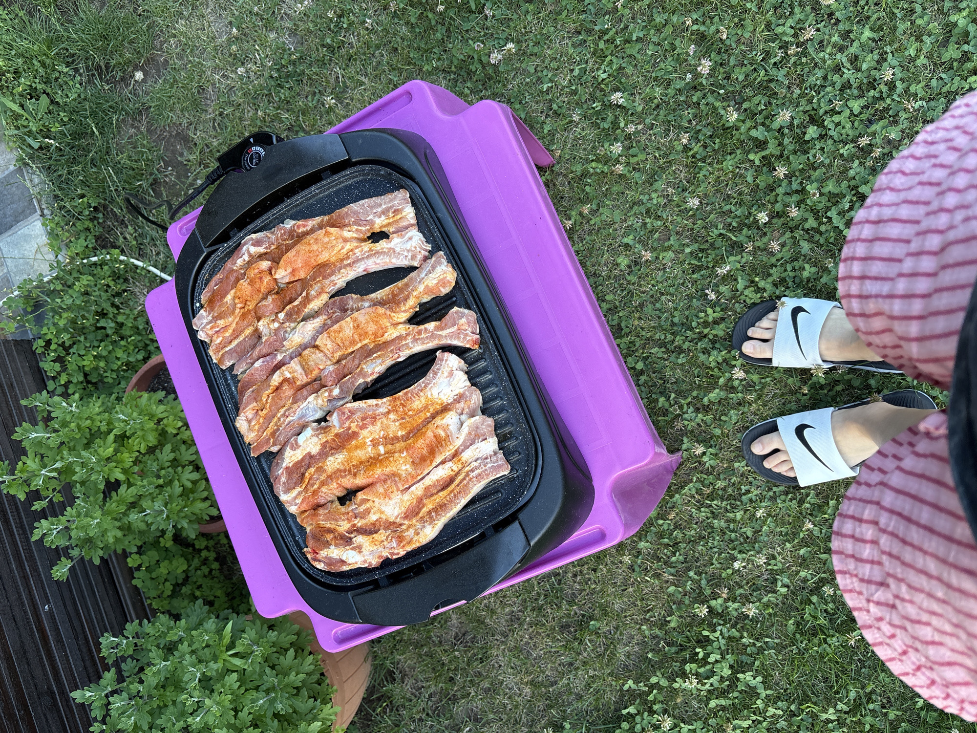 This image captures an outdoor grilling setup in Polena, Bulgaria. A black electric grill, loaded with approximately seven to eight pieces of raw, seasoned meat (likely pork ribs) exhibiting an orange-red spice coating, rests on a vibrant purple plastic stool or low table. The grill's integrated control unit, marked "THERMOSTAT CONTROL," is visible on the right, with an electrical cord extending towards the background. The ground is covered in green grass interspersed with numerous small white clover flowers. In the background to the left, two potted plants with dense green foliage are visible, along with a dark wooden fence or structure. The lower portion of the frame shows the bare feet of an individual wearing black and white Nike slide sandals, with a segment of pink and white striped shorts or trousers also visible, indicating a first-person viewpoint of the scene.