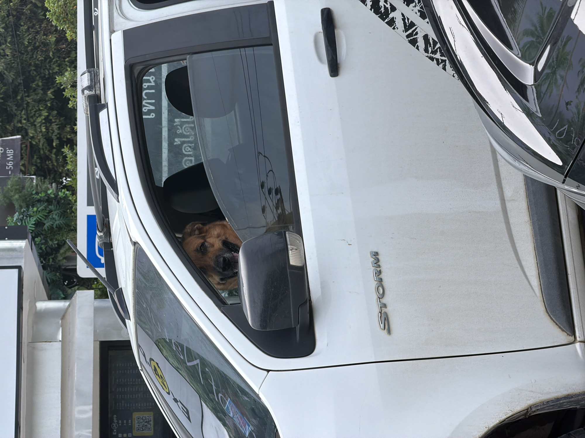 A medium shot shows the side of a white pickup truck parked next to a gas station in Choeng Thale, Thailand. A brown dog is looking out of the passenger side window of the truck. The dog's head and shoulders are visible, and it appears to be panting. The truck is dirty, suggesting it has been driven on unpaved roads. The gas station has a sign with Thai writing on it, indicating the location. There is also a QR code on the side of the gas station. The day appears to be overcast, but it is difficult to tell the exact time of day. The overall scene suggests a mundane moment of a pet waiting in a vehicle at a roadside stop.