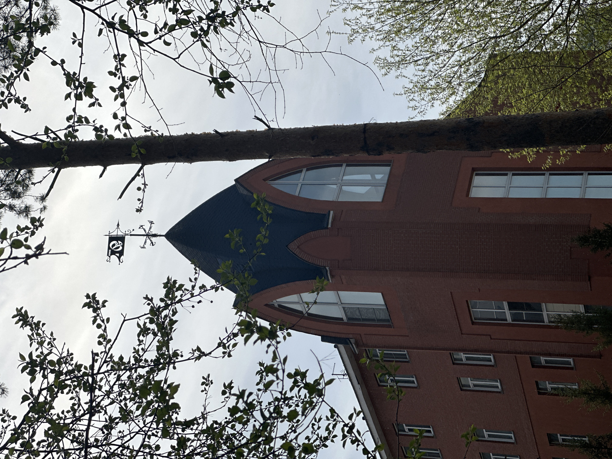 A low-angle shot of a brick building in Novosibirsk, Russia, featuring a distinctive tower with a weather vane. The tower has a dark-colored, pointed roof with arched windows below. A thick tree branch stretches across the upper portion of the frame, partially obscuring the building. Branches with foliage are visible in the foreground, framing the building and sky. The building has multiple windows and a red brick exterior. The sky appears overcast and bright.