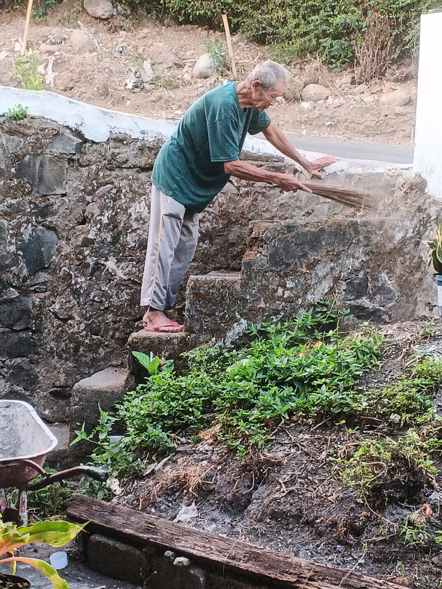 An elderly Asian man, wearing a green t-shirt and light-colored pants, is sweeping a stone step with a broom. He is positioned on a step of a stone staircase, with his back to the camera, leaning forward to sweep. The stone wall beside him is rough and weathered, with some areas of white plaster. In the foreground, there is lush green foliage and a wooden plank. To the left, a wheelbarrow with a metal basin is visible. The environment appears to be outdoors, with dry earth and scattered rocks in the background, suggesting a rural or semi-rural setting in Keji, Indonesia. The lighting indicates it is daytime.