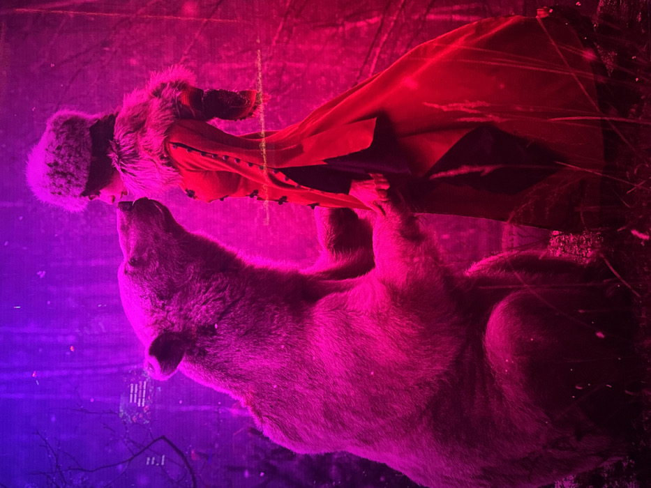 A person in a fur hat and red coat is juxtaposed with a wolf or dog, both illuminated with red and purple lighting. The person's face is close to the animal's snout. Bare branches and an indistinct background blur the scene. The photograph is taken at an angle, making the subjects appear tilted.