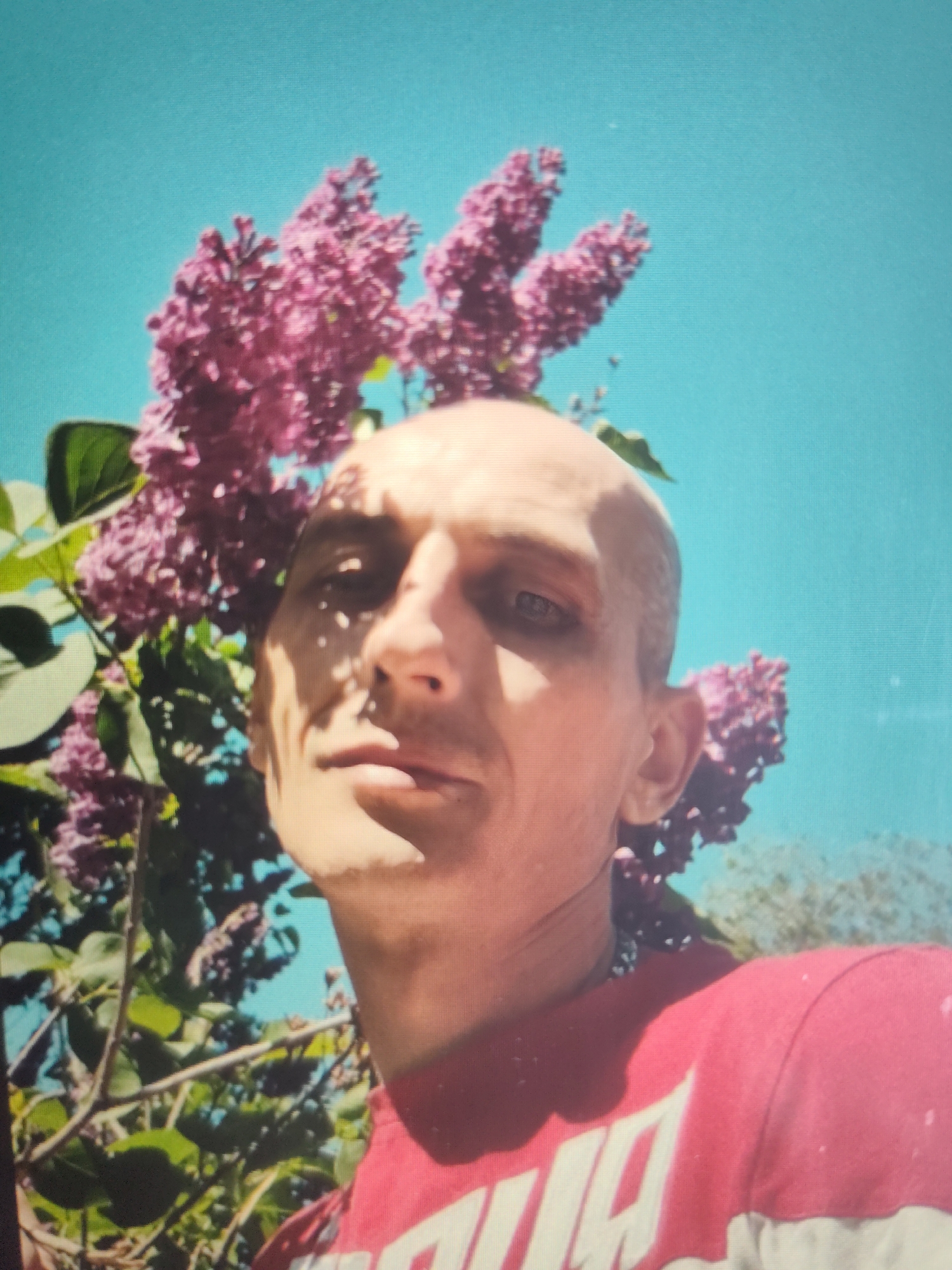 This is a medium close-up, outdoor selfie of a bald man with light-colored eyes. He is positioned to the right of the frame, with his face tilted upwards. Behind him, to the left, is a large cluster of purple lilac flowers with green leaves. The sky is a bright, clear blue, suggesting it is daytime and the weather is sunny. The man is wearing a red t-shirt with white lettering, though the text is partially obscured and illegible. Shadows from the lilac branches are cast across the man's face and forehead, creating a dappled effect. The overall impression is one of a casual, candid moment captured outdoors in a natural setting, likely during springtime due to the blooming lilacs. The provided location context of Bor, Russia, further supports the springtime setting.