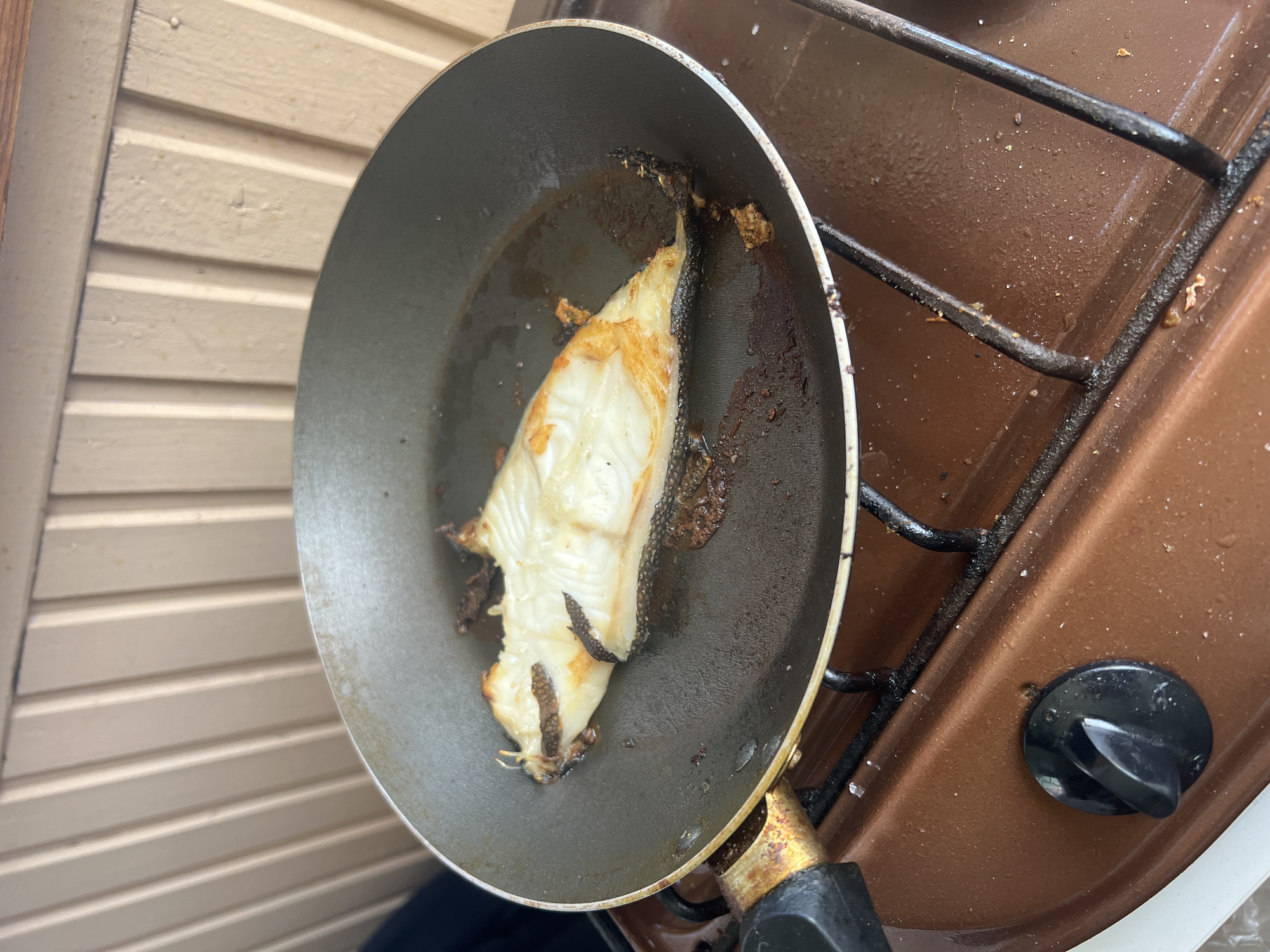 A piece of white fish is being fried in a dark, non-stick skillet on a brown gas stove. The fish is mostly cooked, with golden-brown crispy skin on one side and flaky white flesh visible. Some dark, charred bits are present in the pan, indicating it may have been overcooked or the heat was too high. The skillet handle is a dark color and shows some wear and discoloration. The stove has a dark knob for controlling the burner. In the background, a light-colored wooden wall with vertical paneling is visible. The overall scene suggests an outdoor cooking environment, possibly on a porch or patio. There are no people visible in the image. The location is in the city of Rosа Snt, Russia.
