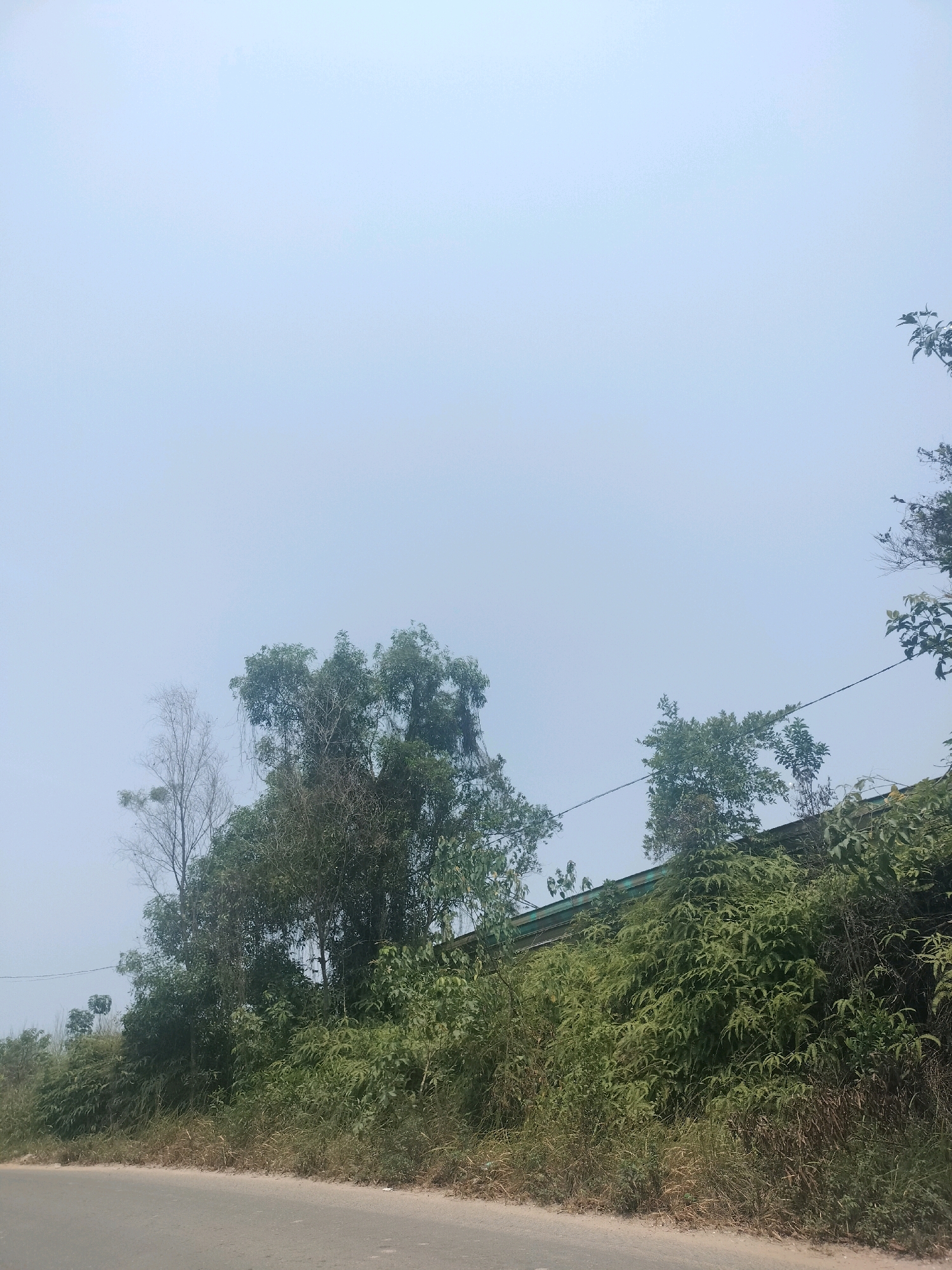 A photograph captures a roadside scene with a light blue, hazy sky dominating the upper portion. In the middle ground, a dense collection of trees and lush green foliage grows along a raised embankment or structure, which appears to be a retaining wall or part of a building, covered in vegetation. A thin wire runs horizontally across the scene, possibly a utility line, supported by unseen posts. The foreground shows a gray asphalt road curving to the left, with a dry, grassy shoulder. The overall impression is one of an overgrown, semi-rural or suburban area on the outskirts of Batam, Indonesia, with limited visibility due to atmospheric haze. No people or vehicles are visible.