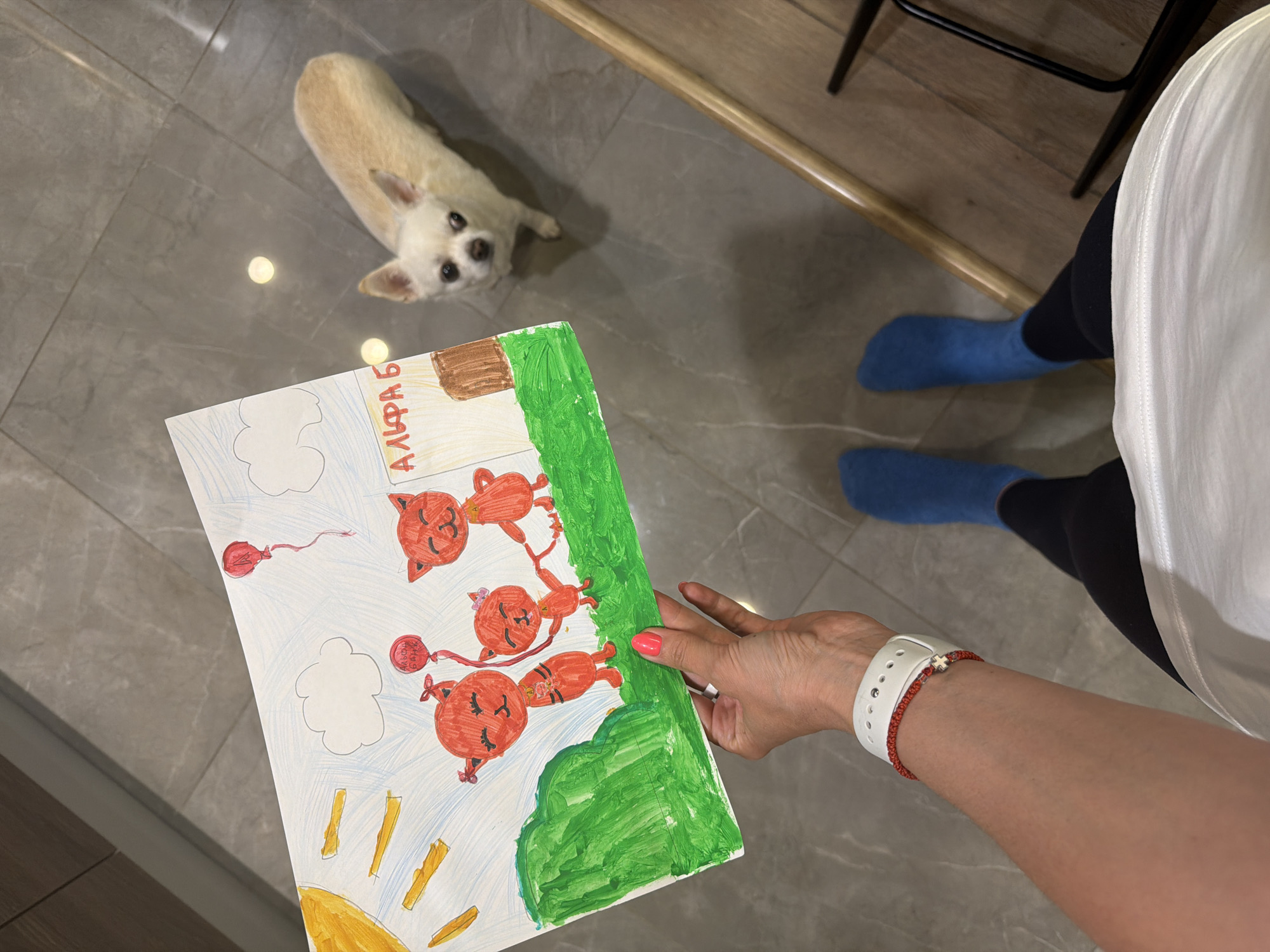 A tan-colored Chihuahua dog with black eyes is looking up at the camera. In the foreground, a white sheet of paper is held by a person’s left hand. The paper contains a child’s drawing with red cartoon cat-like figures, yellow sun rays, green grass, blue clouds, and a red balloon. Above the drawing, in red Cyrillic letters, is the word “АЛЬФАБО.” The person’s arm has a white Apple watch and a red bracelet. The person is wearing black leggings and blue socks. The floor is gray tile. A wooden edge is visible. A black chair leg is also visible. The image location is not specified in the provided information.