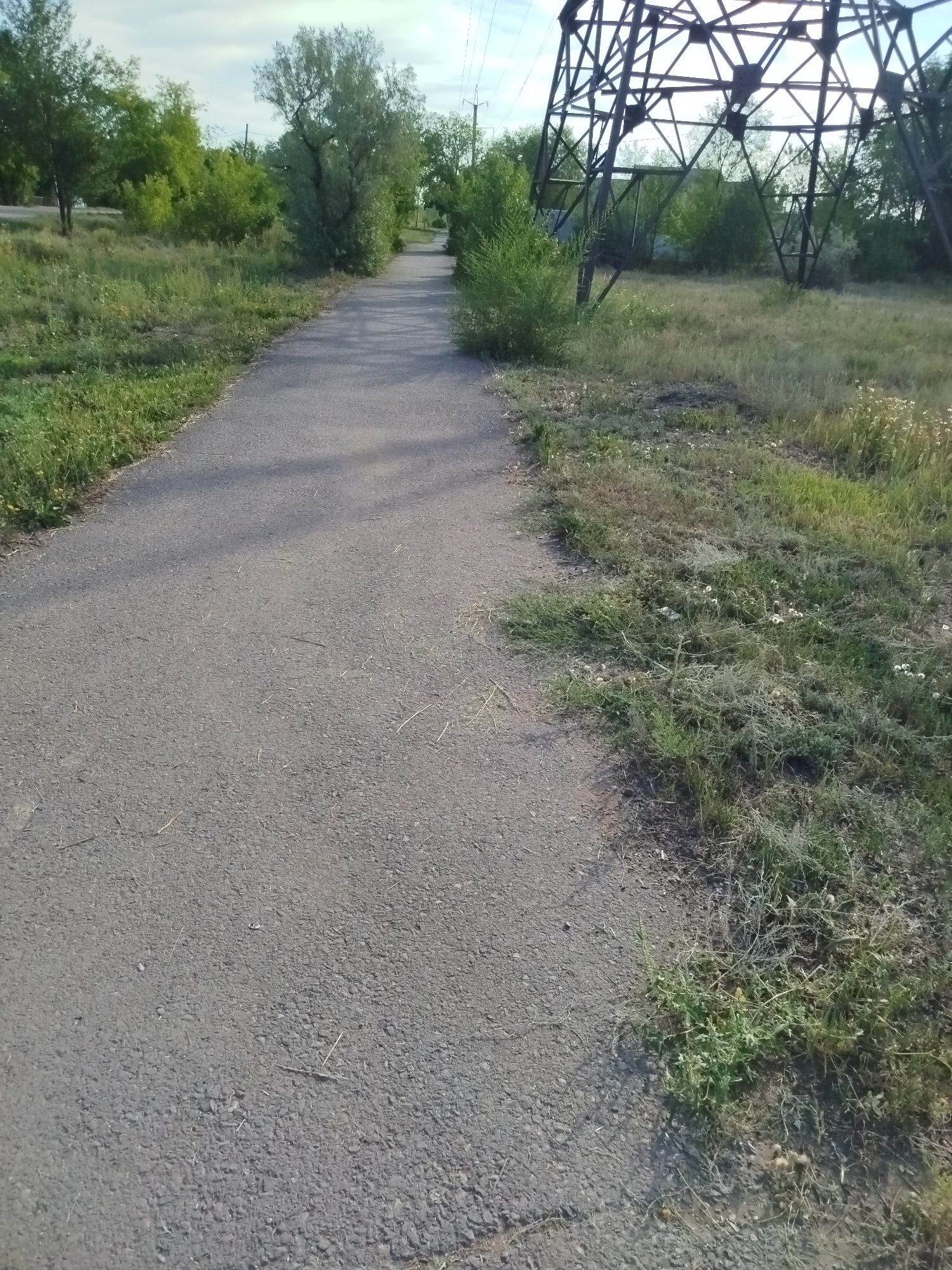 The image depicts a paved walkway stretching into the distance, bordered by overgrown grassy areas on both sides. In the background, a large, lattice-like industrial structure, likely a power pylon, dominates the right side of the frame. Green trees are visible behind the walkway on the left, and a cloudy sky is present overhead. The scene appears to be an outdoor, semi-rural or undeveloped area within the city of Qarağandı, Kazakhstan.