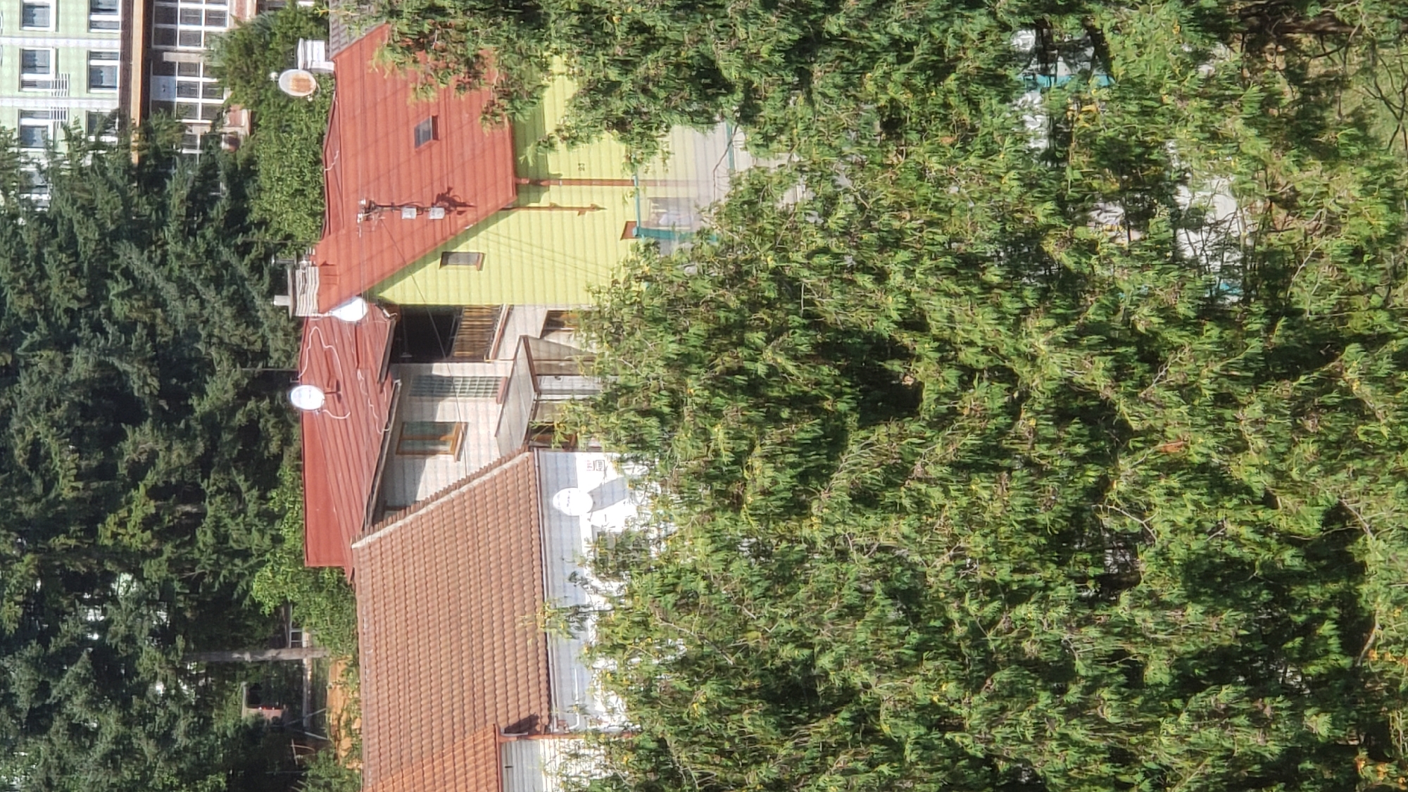 The image shows a residential area with several buildings and dense green coniferous trees in the foreground. In the midground, there are two houses with red tile roofs. The house on the left is partially white with a brown roof. The house on the right is painted light yellow with a red roof and a balcony. There are satellite dishes on the roof of the yellow house and a chimney on the roof of the white house. In the background, behind the trees, a multi-story building with light-colored walls and numerous windows is visible. The scene appears to be a sunny day. The approximate location in Prešov, Slovakia, is likely a neighborhood with a mix of single-family homes and apartment buildings, possibly near a park or a wooded area.