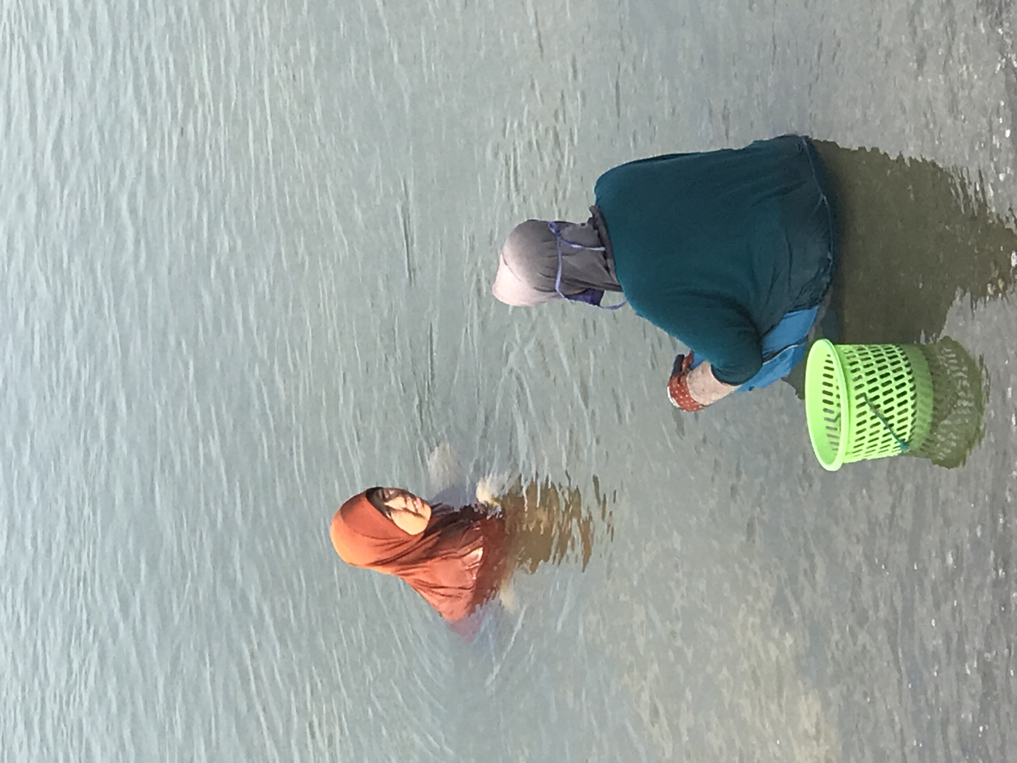 Two women stand in the shallow water of a sunlit body of water. One woman wears a rust-colored hijab and stands in the water, her head and shoulders visible, and her face visible and smiling. The other woman wears a grey head covering, a dark teal long-sleeved shirt, and blue pants. She is bent at the waist and appears to be reaching into the water. A green plastic basket is next to her. The location is Lhokseumawe, Indonesia.