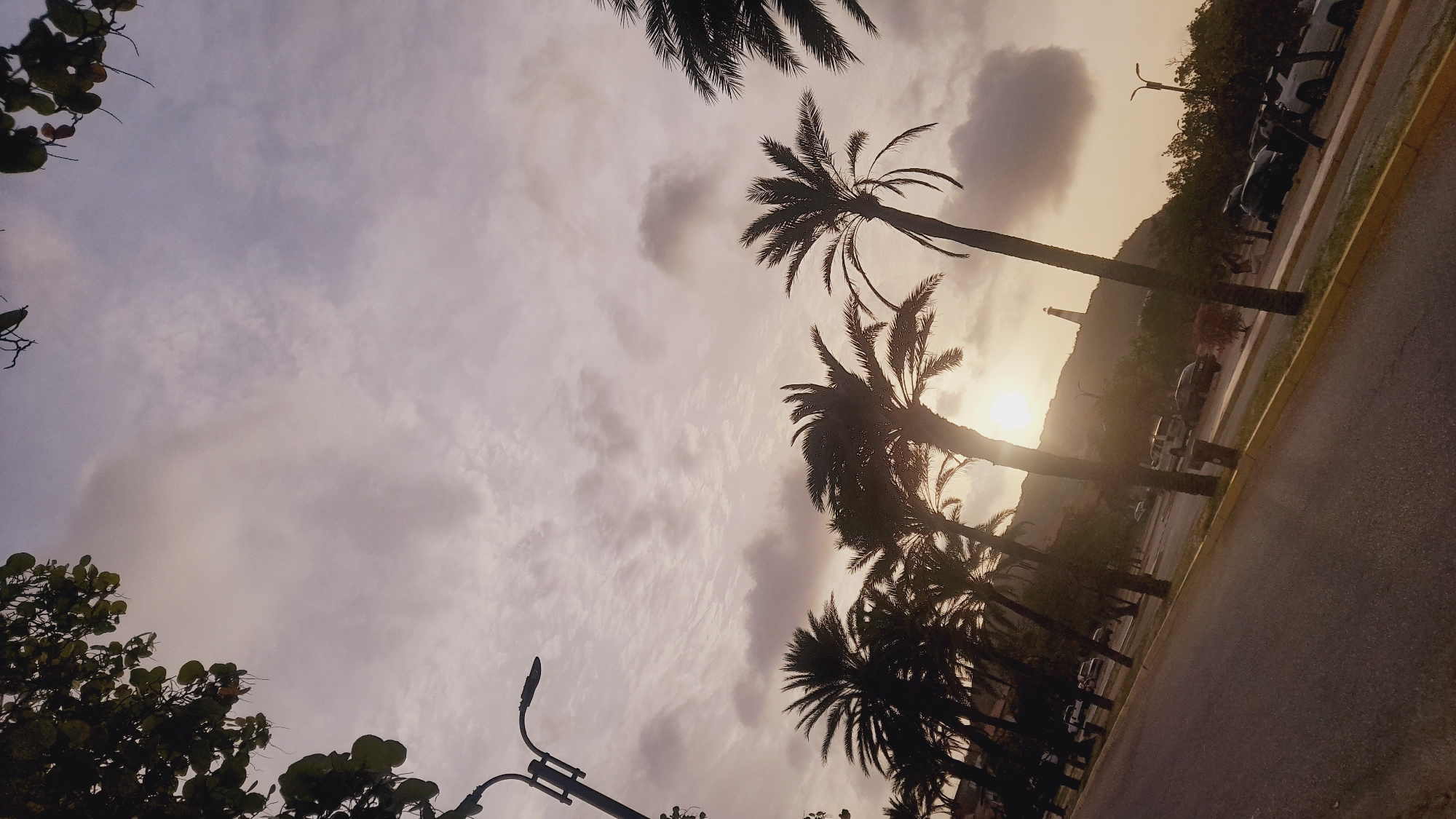 The image depicts a tropical street scene at an oblique angle, captured during either sunrise or sunset, in Pedro González, Venezuela, evidenced by the distinctive lighthouse on a distant hill. The sky occupies the upper two-thirds of the frame, displaying an overcast condition with a palette of pale purples, greys, and warm golden hues where the sun's light penetrates. Clouds are scattered across the sky, varying from thin, wispy formations to denser, more defined cumulus structures.
A prominent row of numerous palm trees, predominantly silhouetted against the bright low sun, extends from the mid-left to the mid-right across the horizontal plane. Their dark fronds obscure portions of the sky and some background elements. In the top-left corner, dark green leaves of a separate tree branch partially frame the scene. Two streetlights are visible on the left side; one is an overhead fixture in the upper-left, and another is lower, closer to the road.
The lower third of the image features an asphalt road, angling from the lower-left foreground towards the mid-right background. A yellow-painted curb separates the road from an unpaved shoulder or parking area on the right. Several vehicles are parked or visible along this area, including at least two light-colored SUVs and two dark-colored sedans or SUVs. In the distant background, atop a low hill to the right of the central axis, a tall, slender, conical structure, identifiable as the Faro de Punta Ballena (Punta Ballena Lighthouse), is silhouetted against the bright low sun. The sun's position behind the lighthouse and hill creates strong backlighting and a warm glow across the entire scene. No individuals are clearly discernible in the photograph.