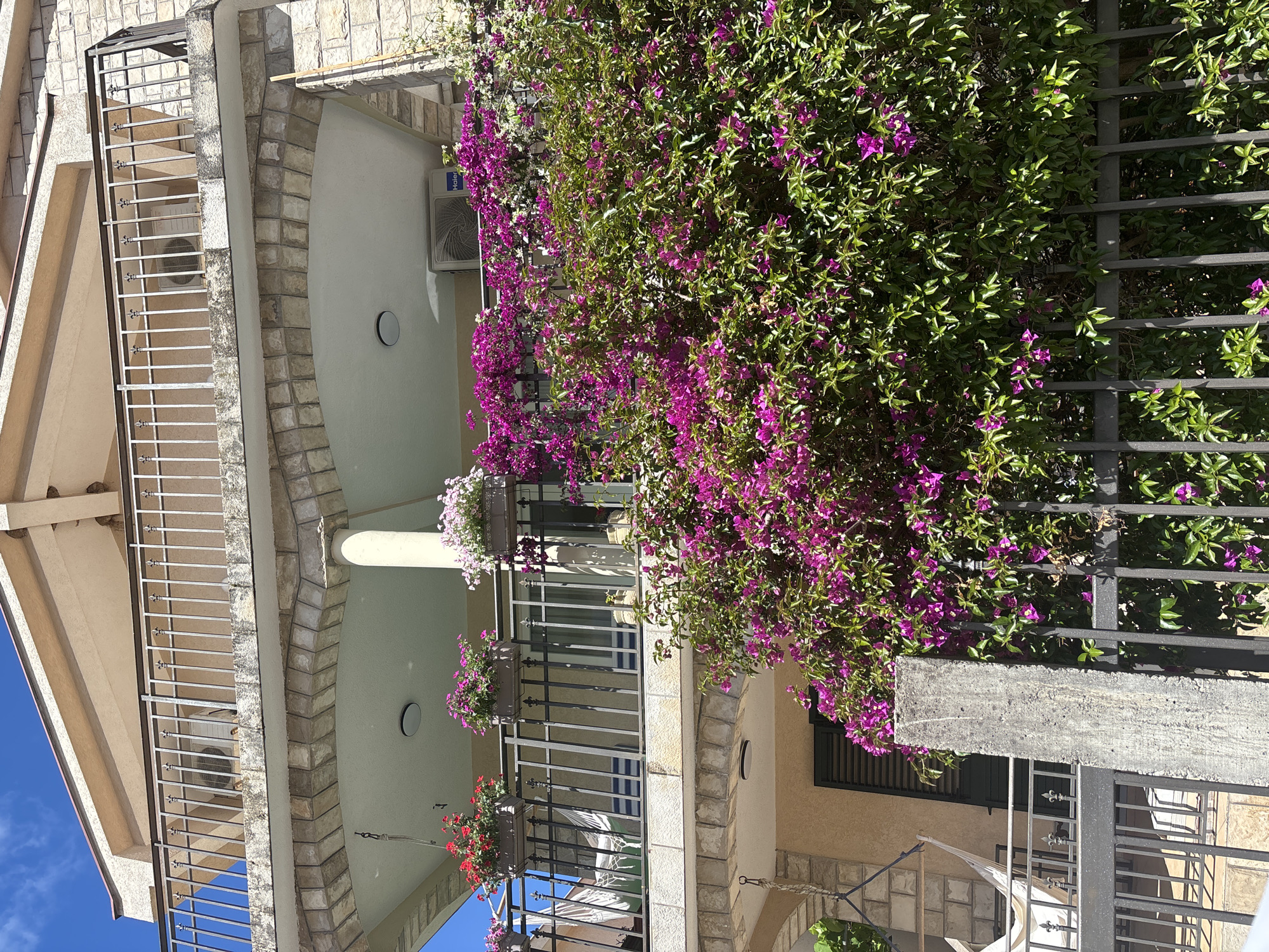 A medium shot captures a building in Budva, Montenegro, showcasing architectural elements and vibrant flora. The building, likely a residential structure, features a light-colored facade complemented by stone accents. Balconies are visible, adorned with metal railings and flower boxes displaying colorful blossoms. A profusion of bougainvillea, characterized by its lush green foliage and striking purple flowers, cascades along a section of the fence, adding a vibrant touch to the scene. The sky is partially visible, revealing a clear blue hue. The environment is likely an urban or suburban setting, and the overall composition suggests a pleasant and well-maintained area.